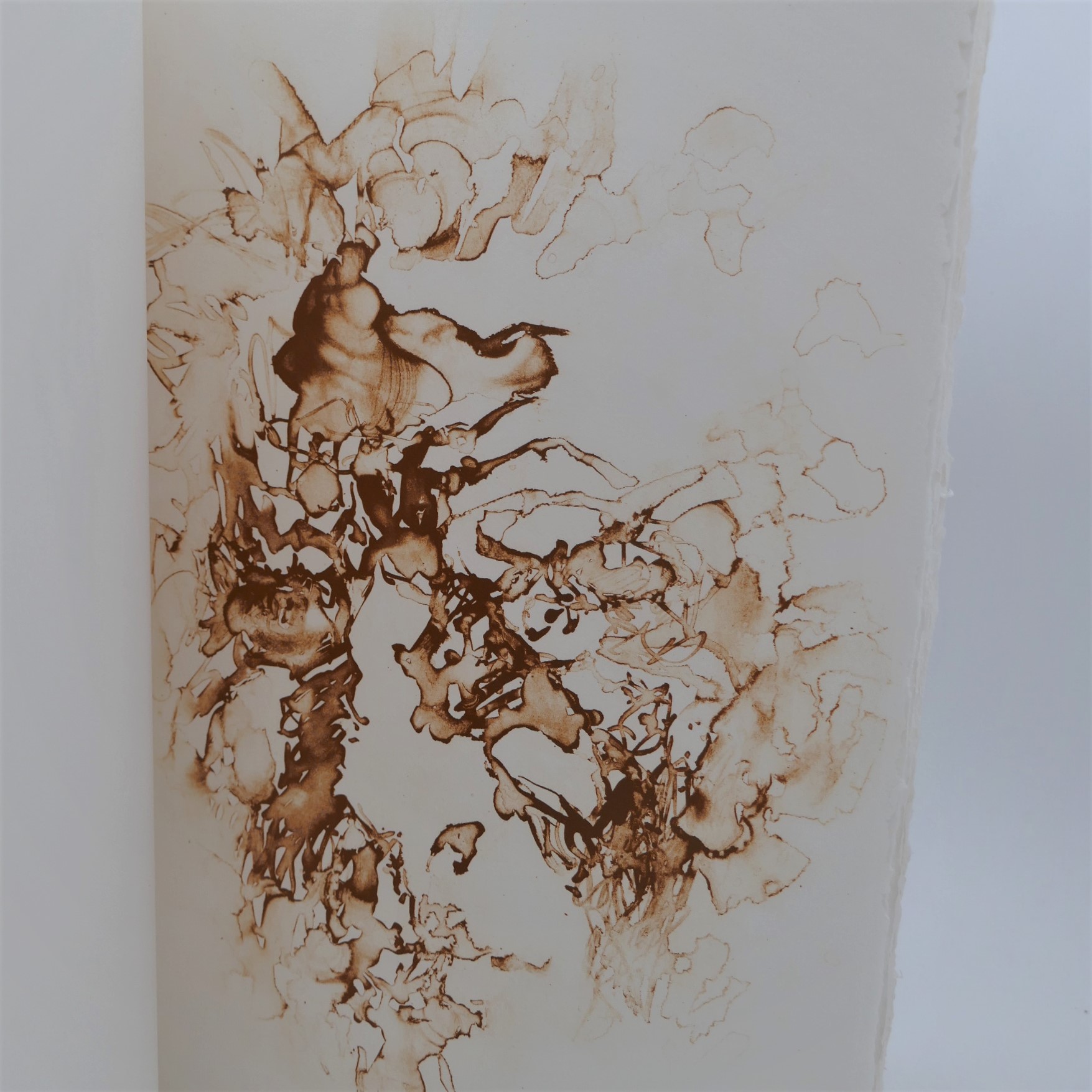 Stirrings Still. Lithographs by Louis Le Brocquy. Limited Edition (1989) - Image 3