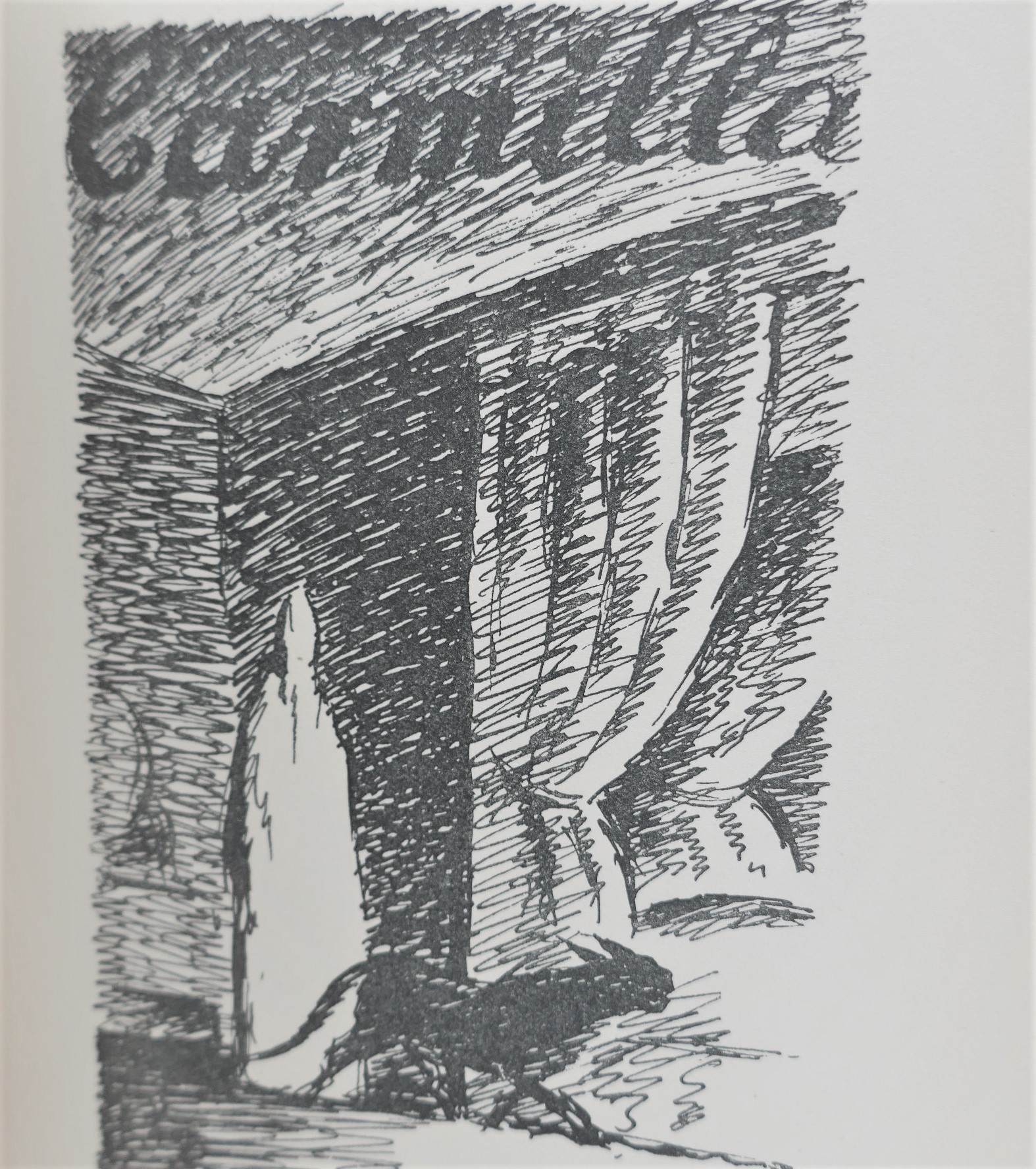 In A Glass Darkly. Illustrated by Edward Ardizzone (1929) - Image 7