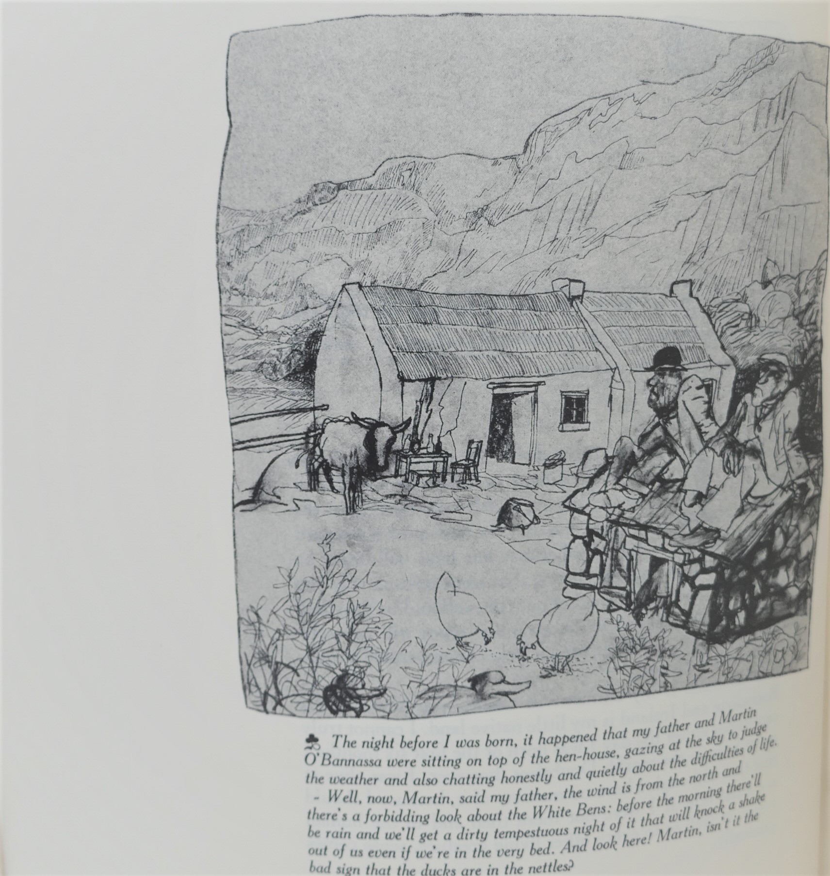 The Poor Mouth. Limited Edition - Signed by the Illustrator (1973) - Image 7