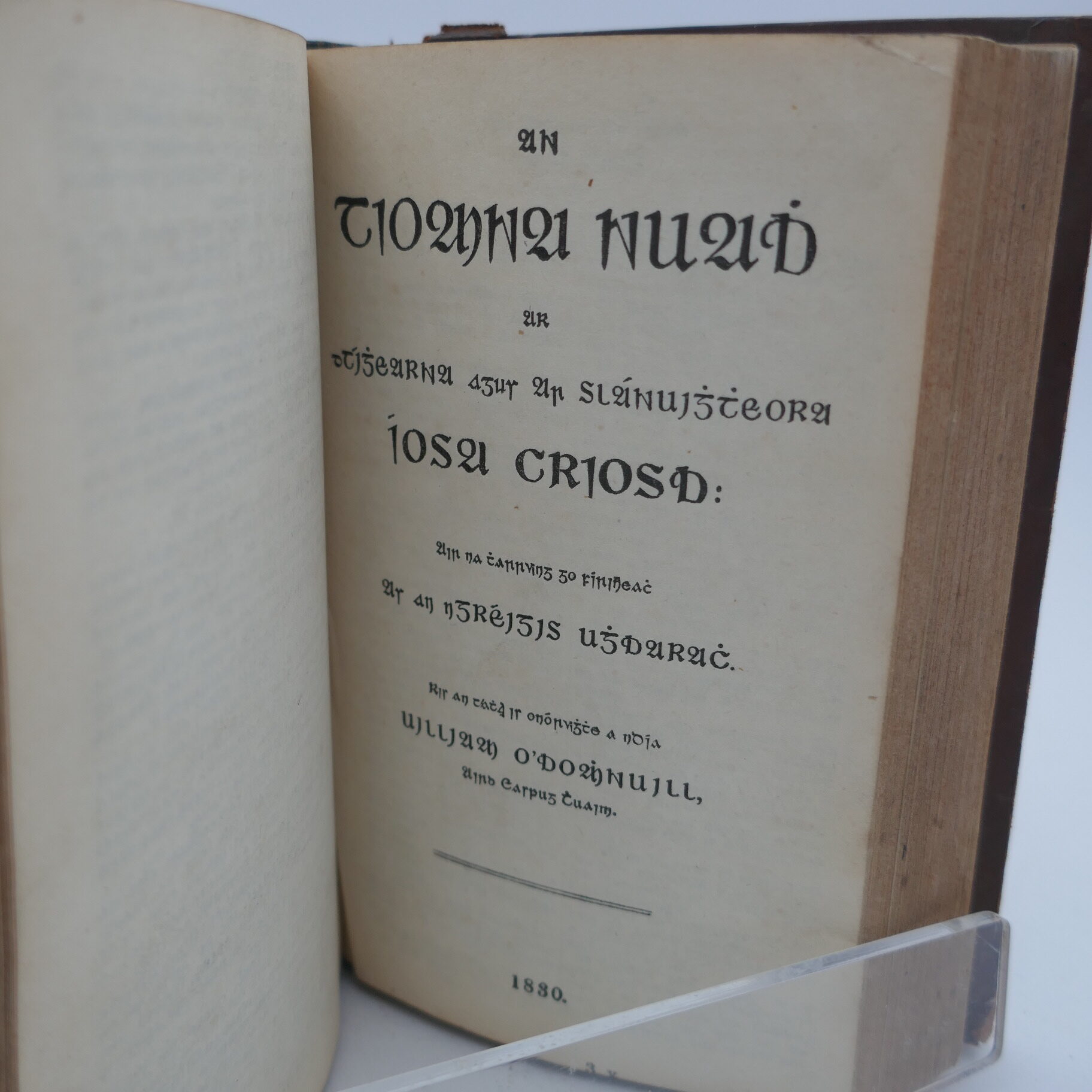 An Bíobla Naomhtha: The Holy Bible (1830) - Image 3