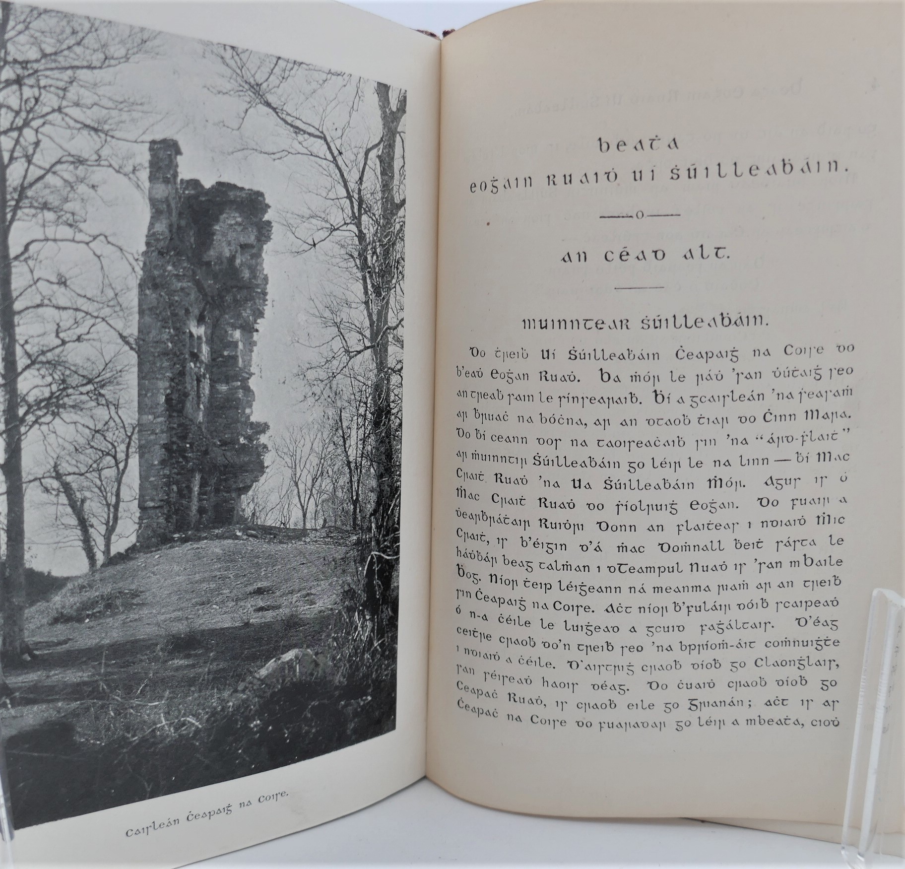 Beatha Eoghain Ruaidh Ui Shuilleabhain (1902) - Image 2
