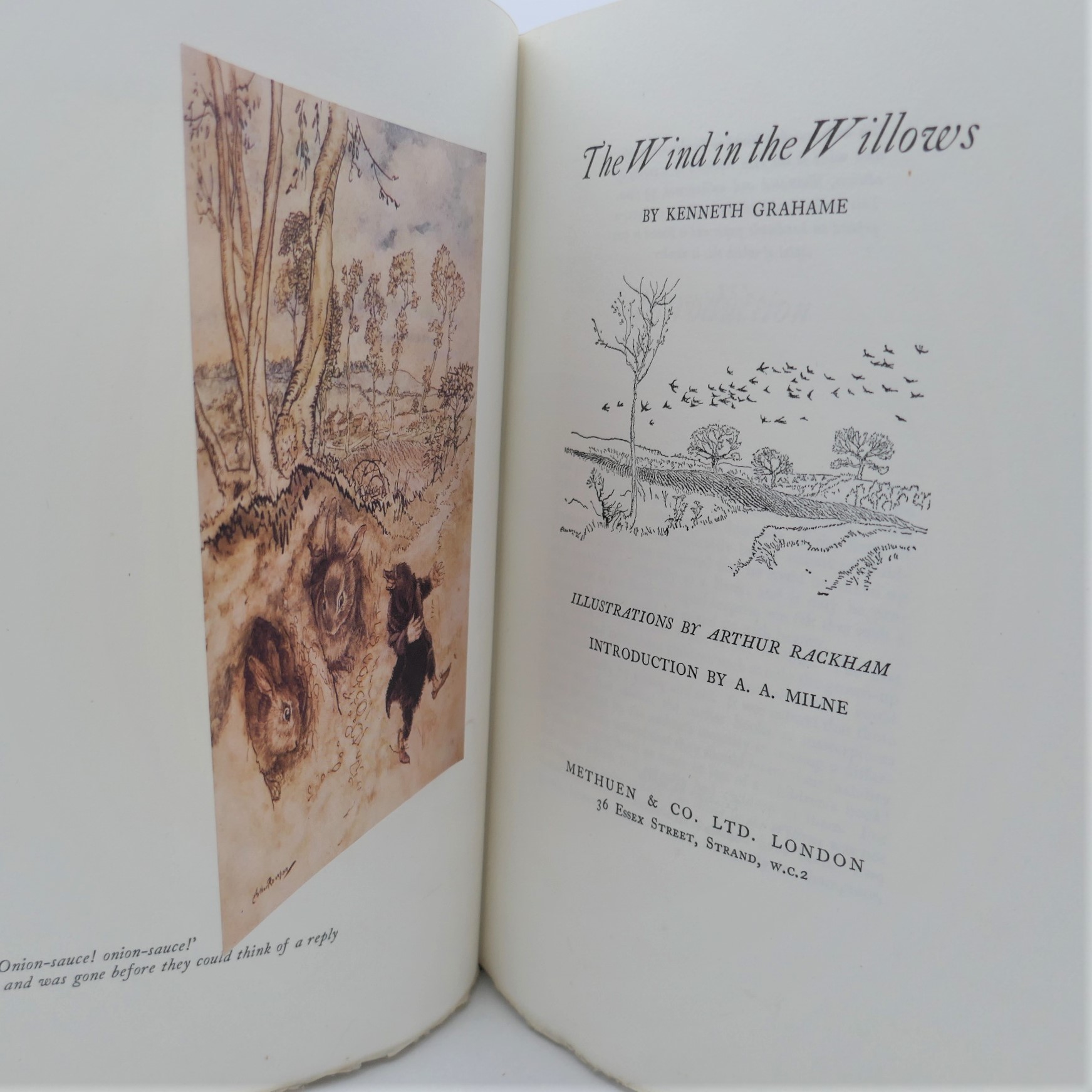 The Wind in the Willows. Illustrations by Arthur Rackham (1951) - Image 3