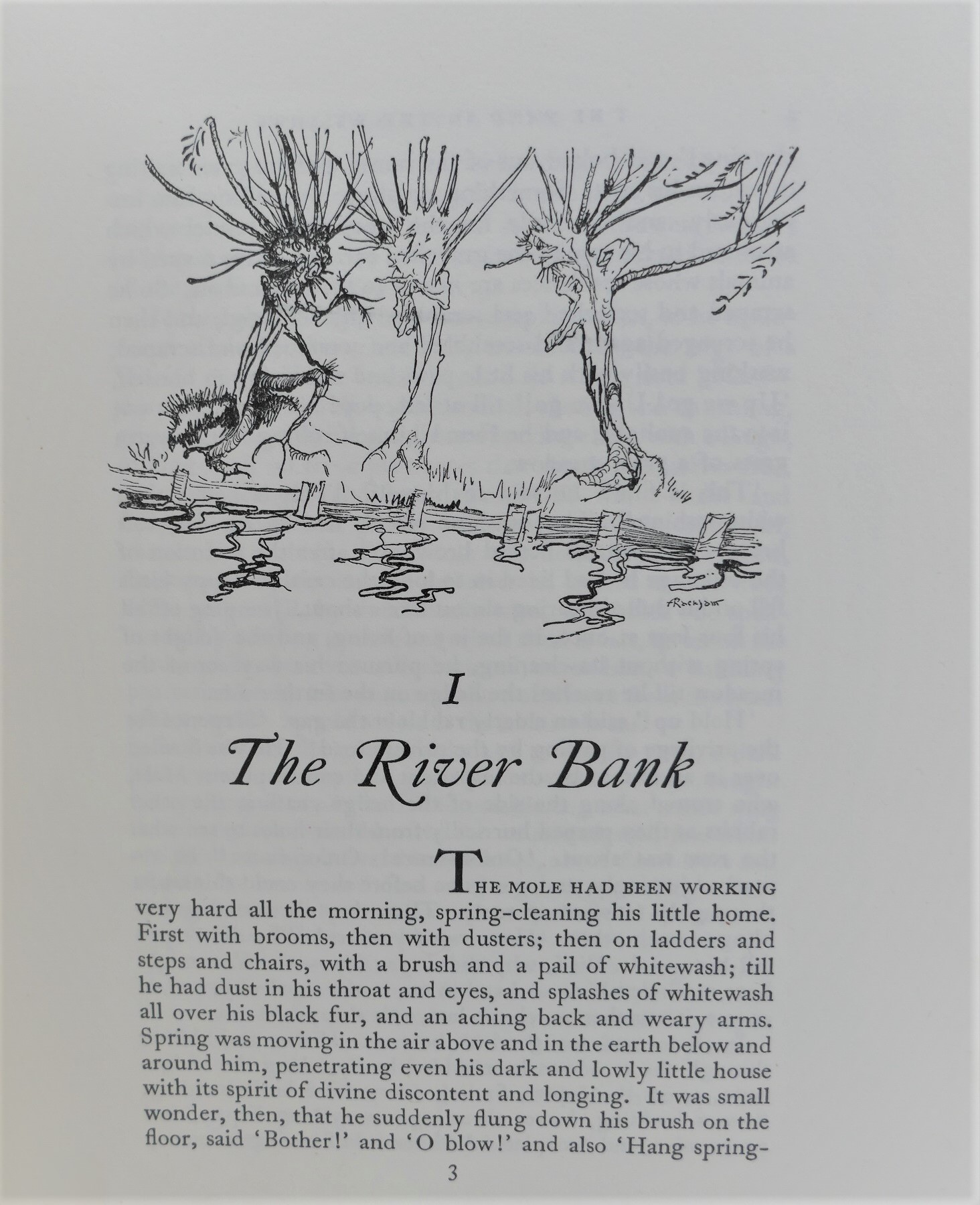 The Wind in the Willows. Illustrations by Arthur Rackham (1951) - Image 5