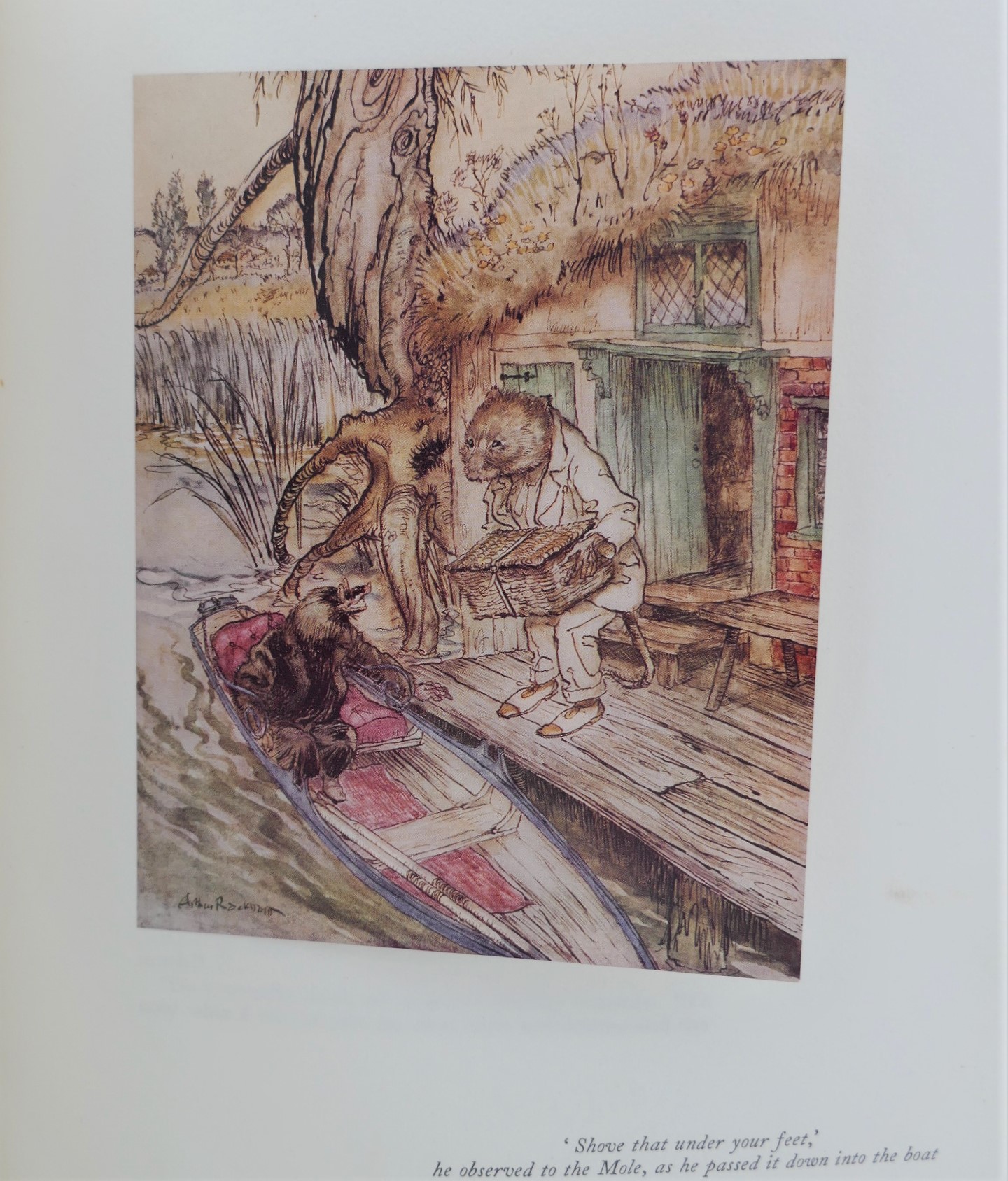 The Wind in the Willows. Illustrations by Arthur Rackham (1951) - Image 6