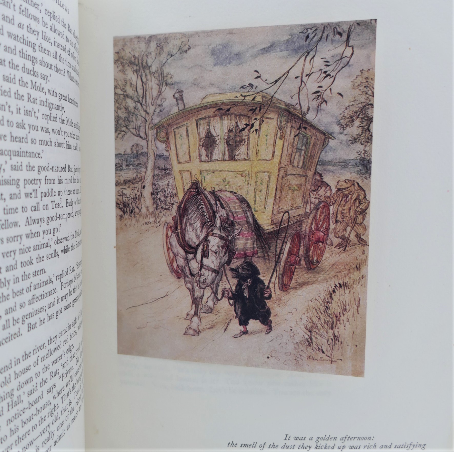 The Wind in the Willows. Illustrations by Arthur Rackham (1951) - Image 7