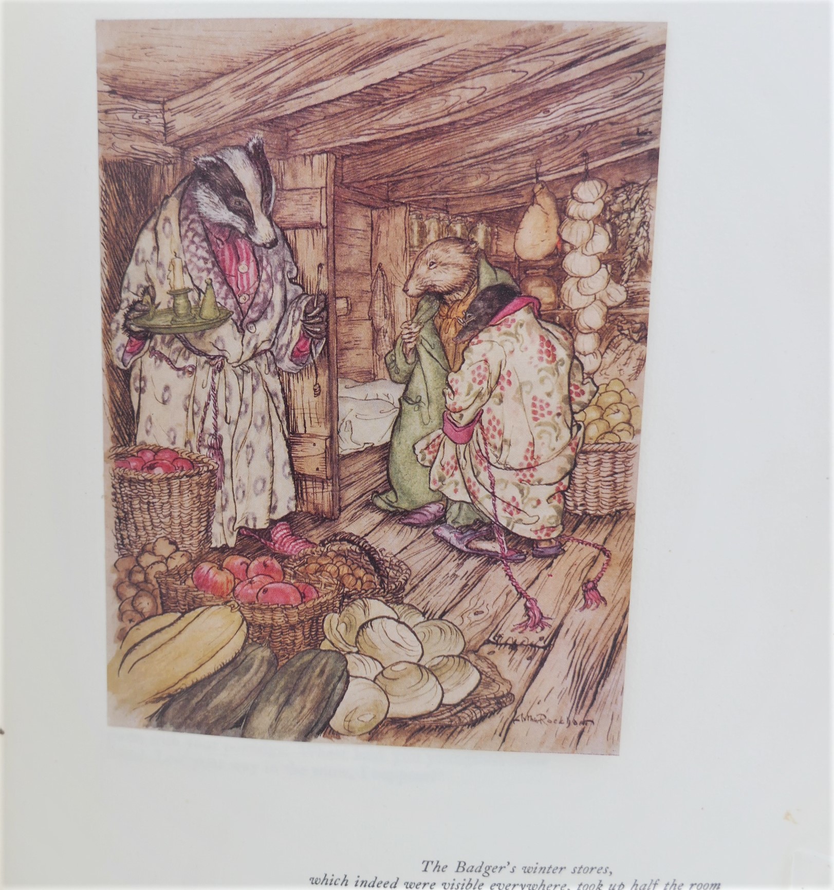 The Wind in the Willows. Illustrations by Arthur Rackham (1951) - Image 8