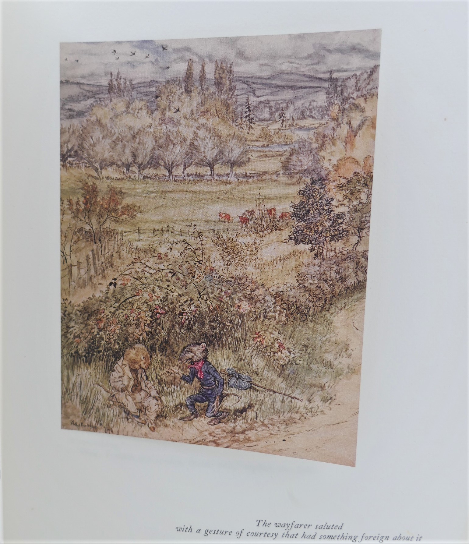 The Wind in the Willows. Illustrations by Arthur Rackham (1951) - Image 10