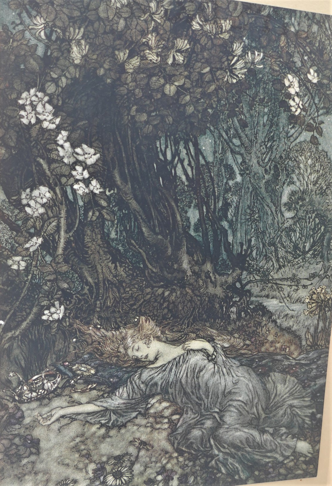 A Midsummer-Night's Dream. Illustrated by Arthur Rackham (1908) - Image 3