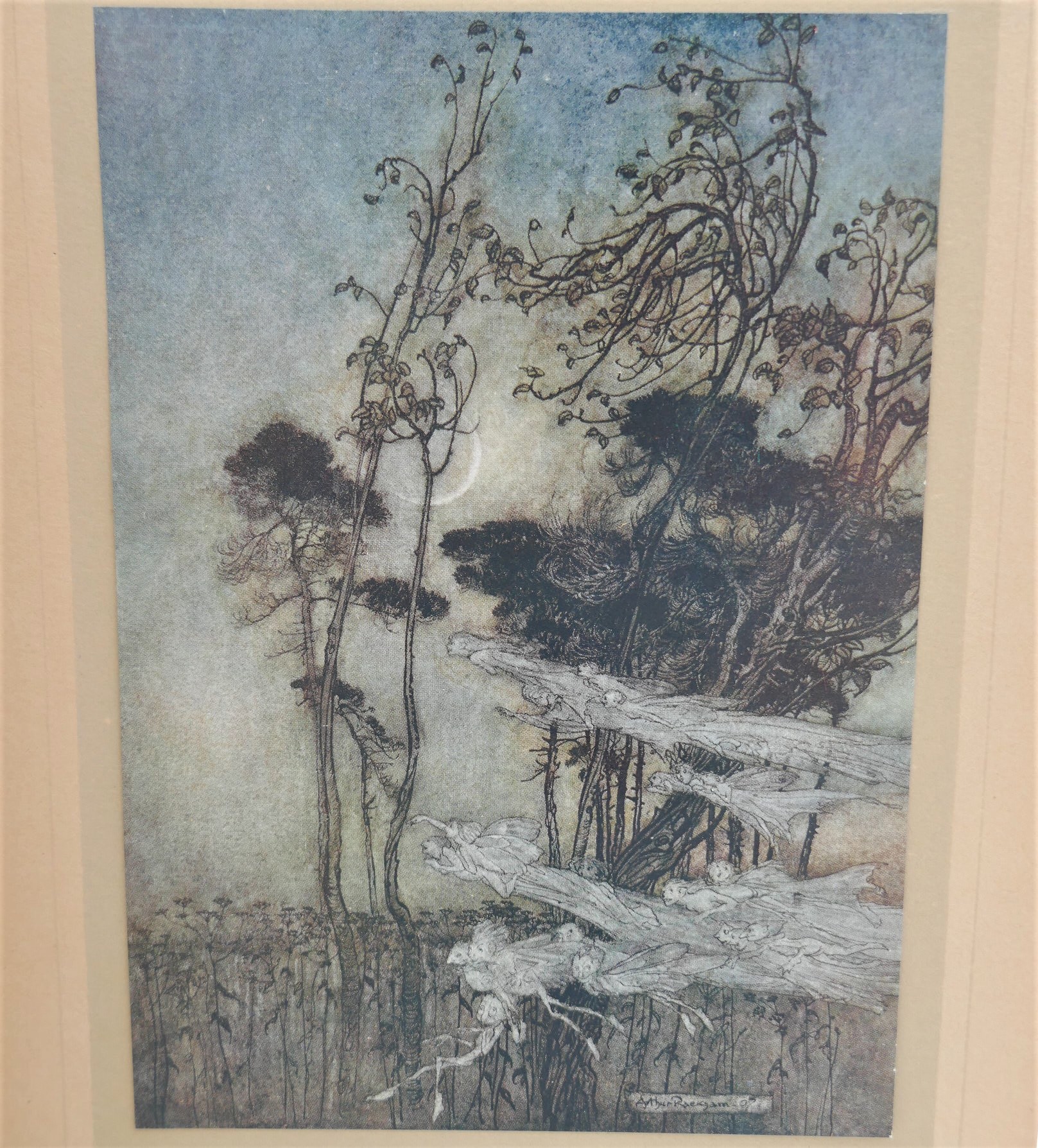 A Midsummer-Night's Dream. Illustrated by Arthur Rackham (1908) - Image 6