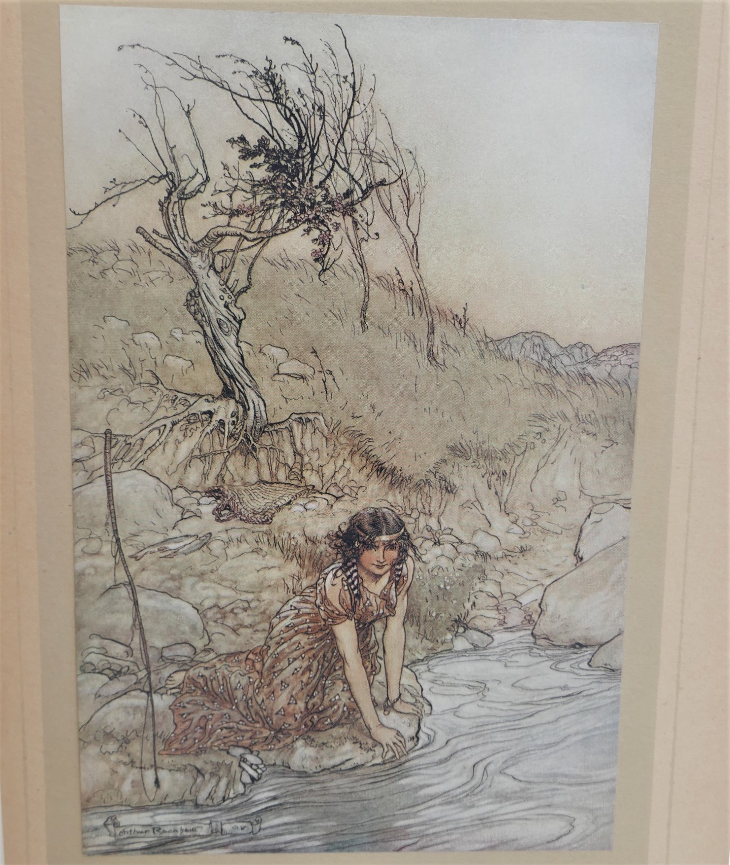 A Midsummer-Night's Dream. Illustrated by Arthur Rackham (1908) - Image 7