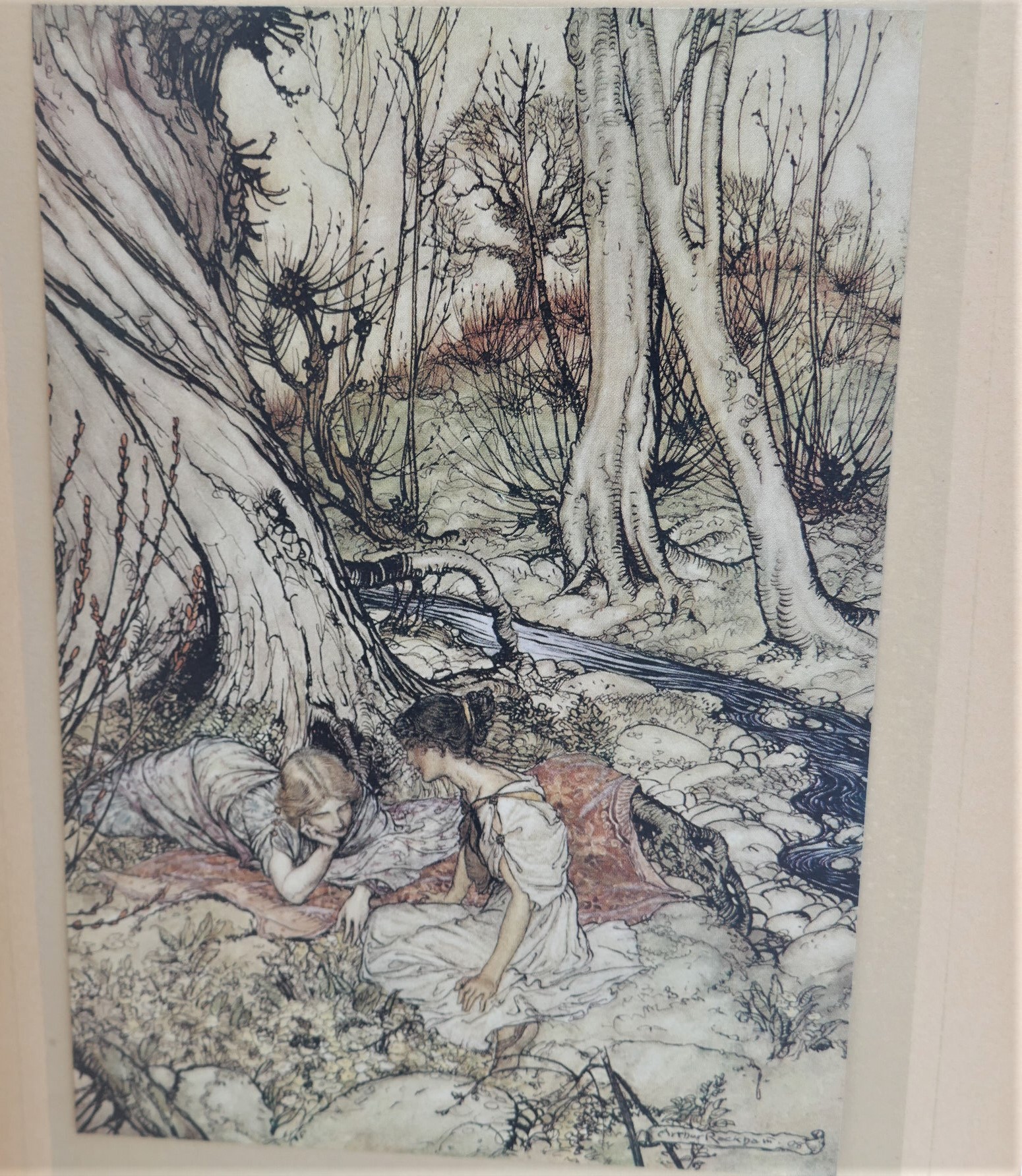 A Midsummer-Night's Dream. Illustrated by Arthur Rackham (1908) - Image 8