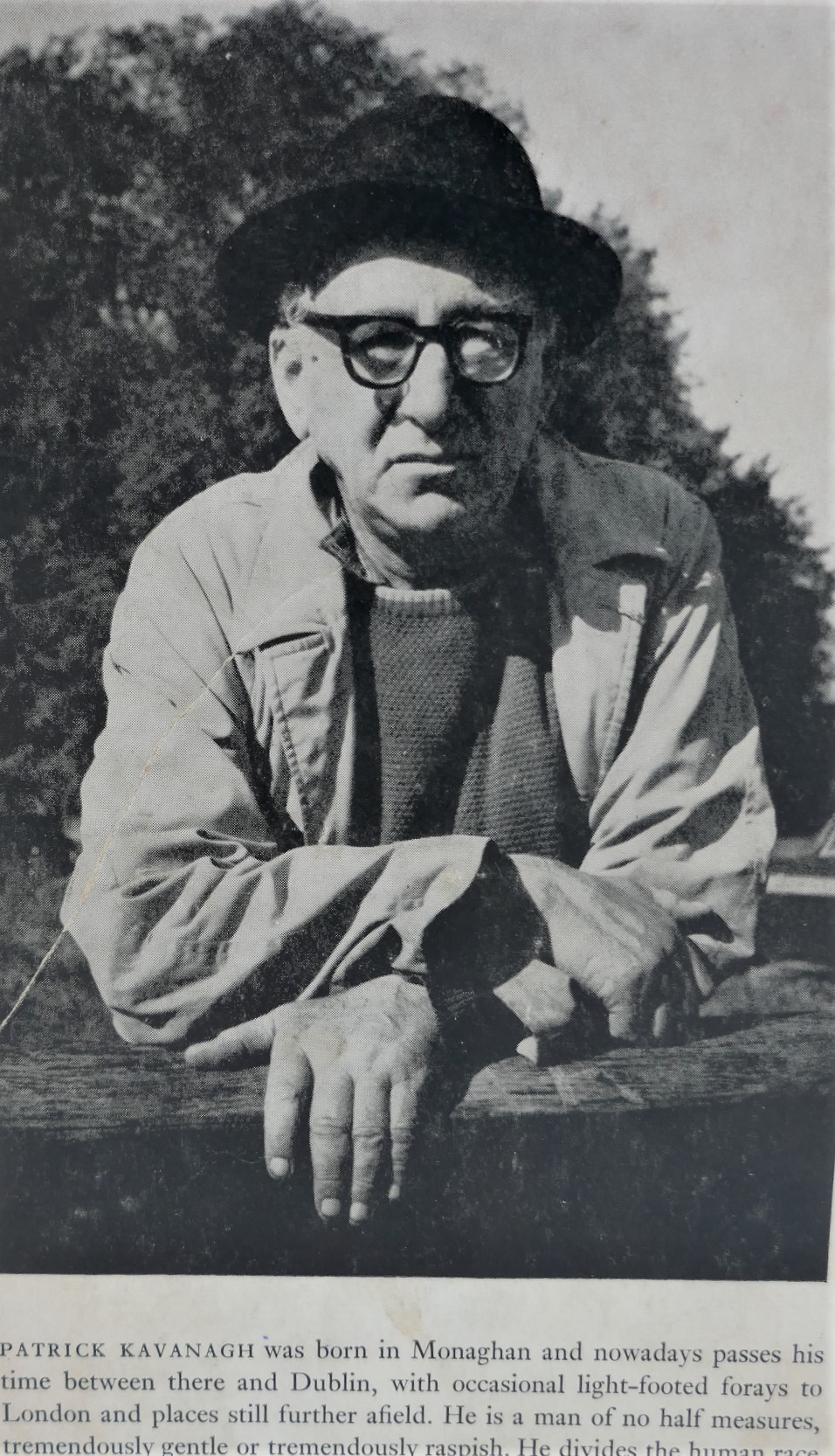 Tarry Flynn. A Novel (1965) - Image 3