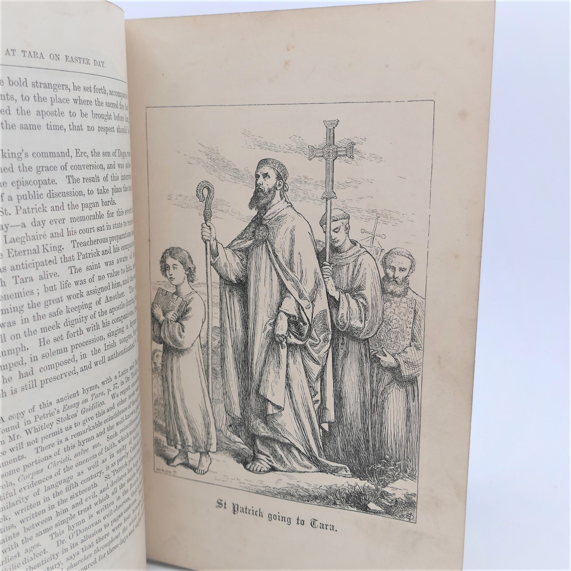 An Illustrated History of Ireland (1871) - Image 4