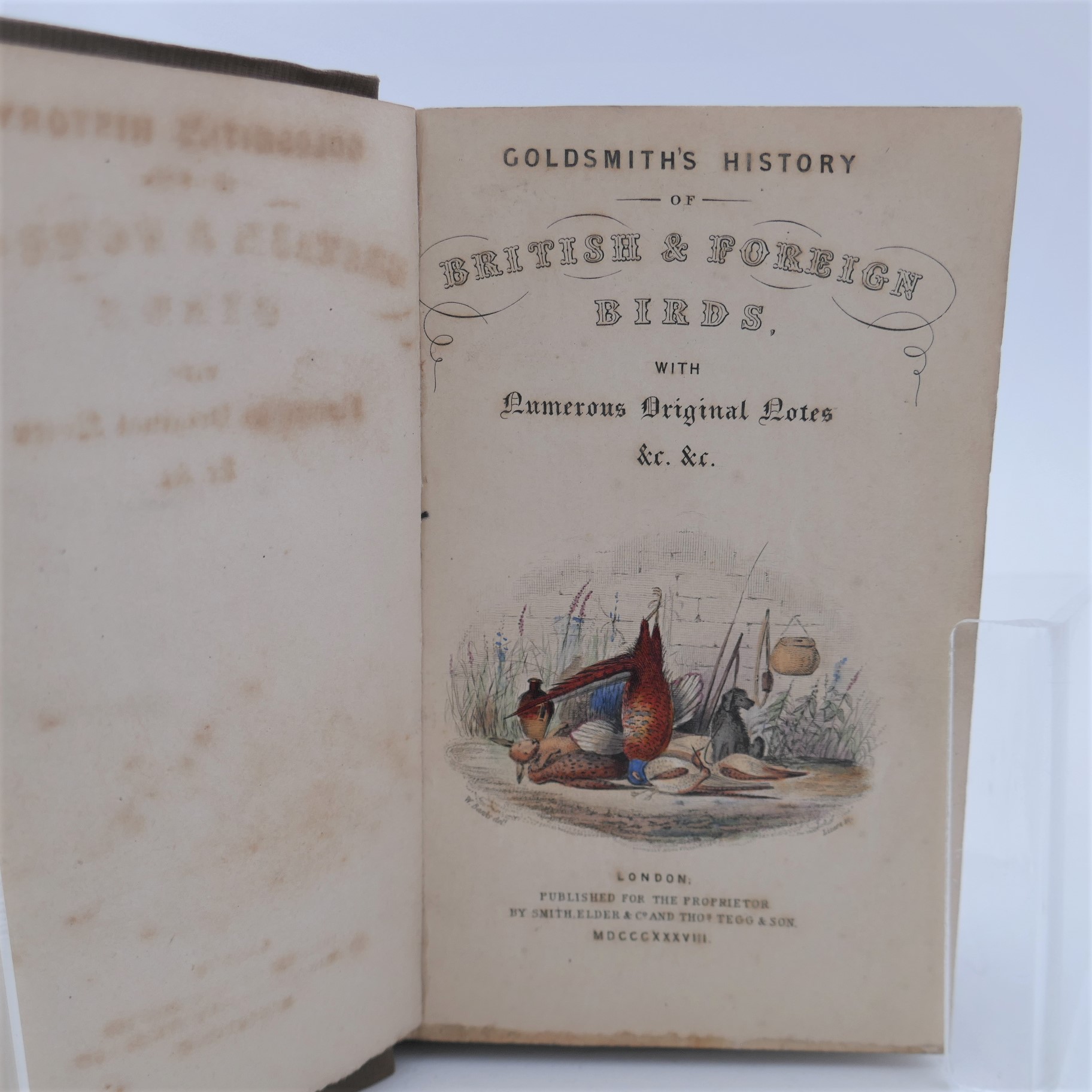 Goldsmith's History of Animated Nature (1839) - Image 4