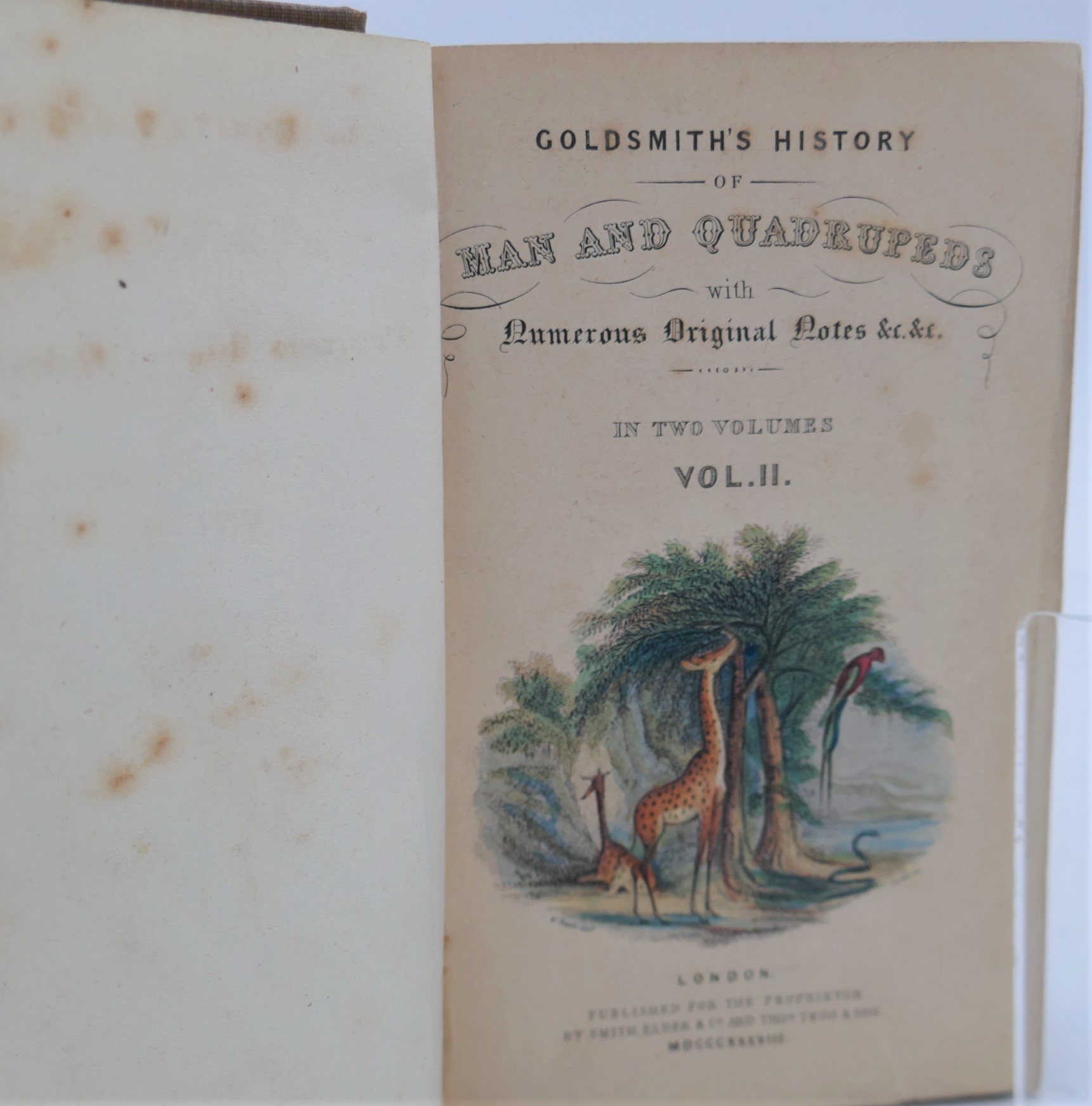 Goldsmith's History of Animated Nature (1839) - Image 5