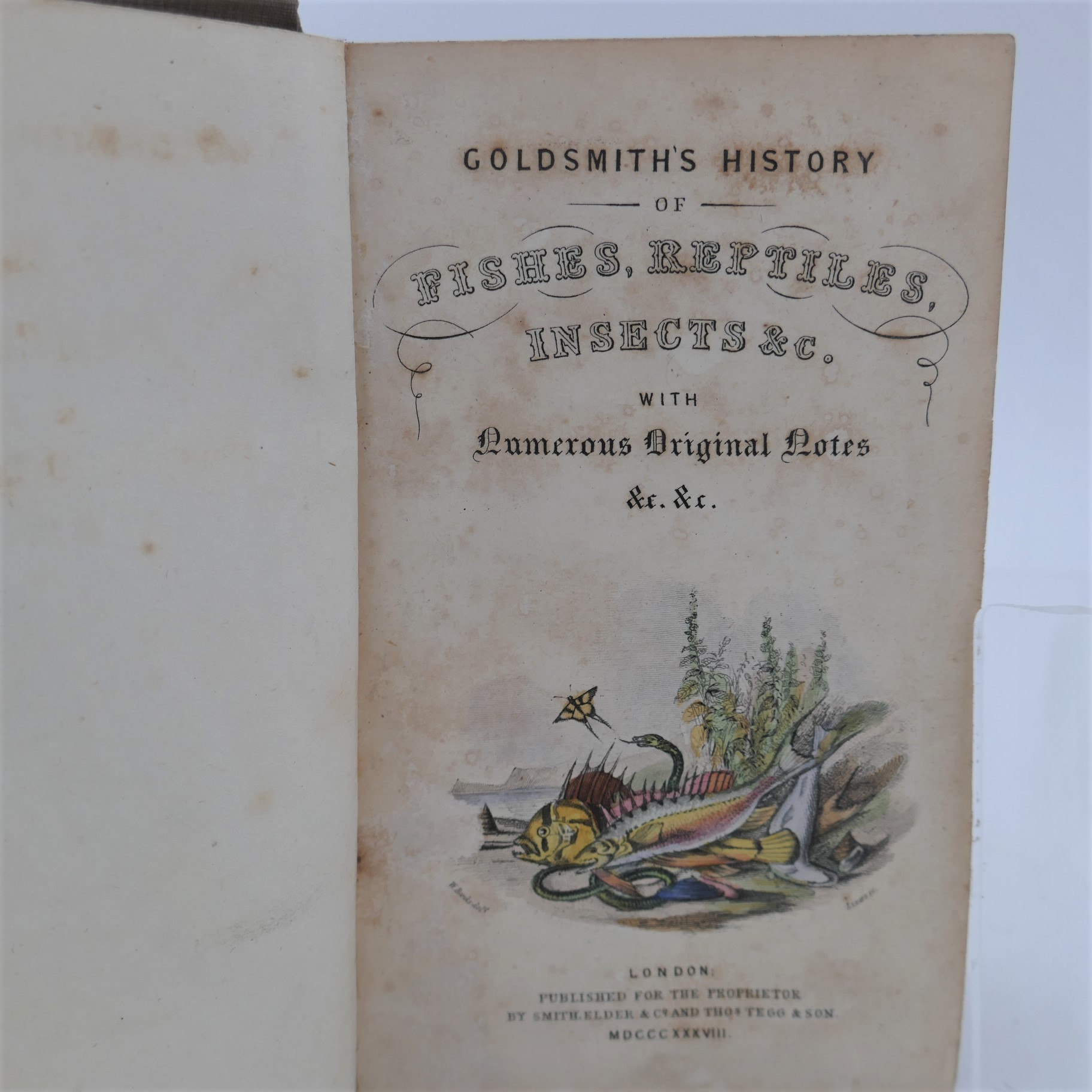 Goldsmith's History of Animated Nature (1839) - Image 6