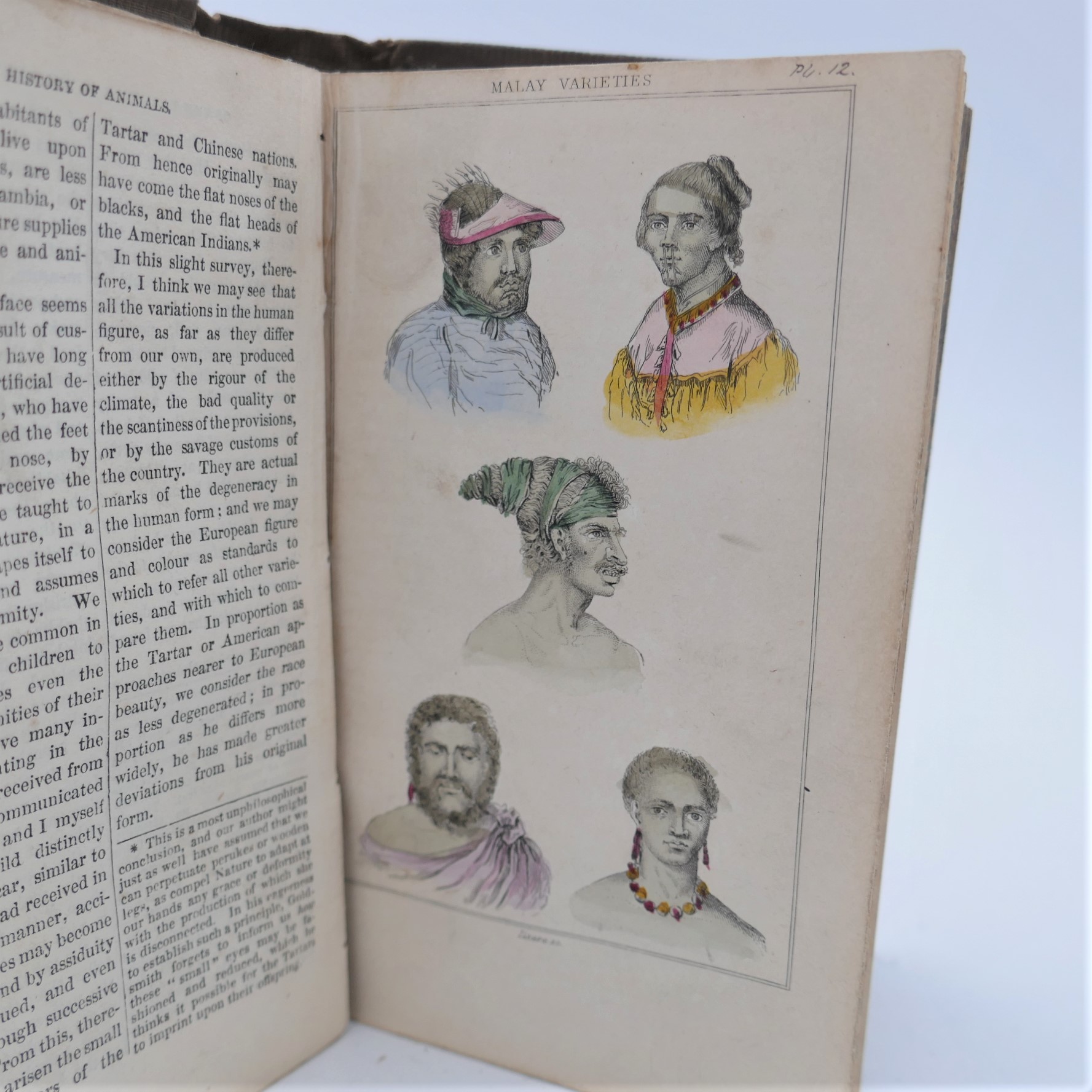 Goldsmith's History of Animated Nature (1839) - Image 7