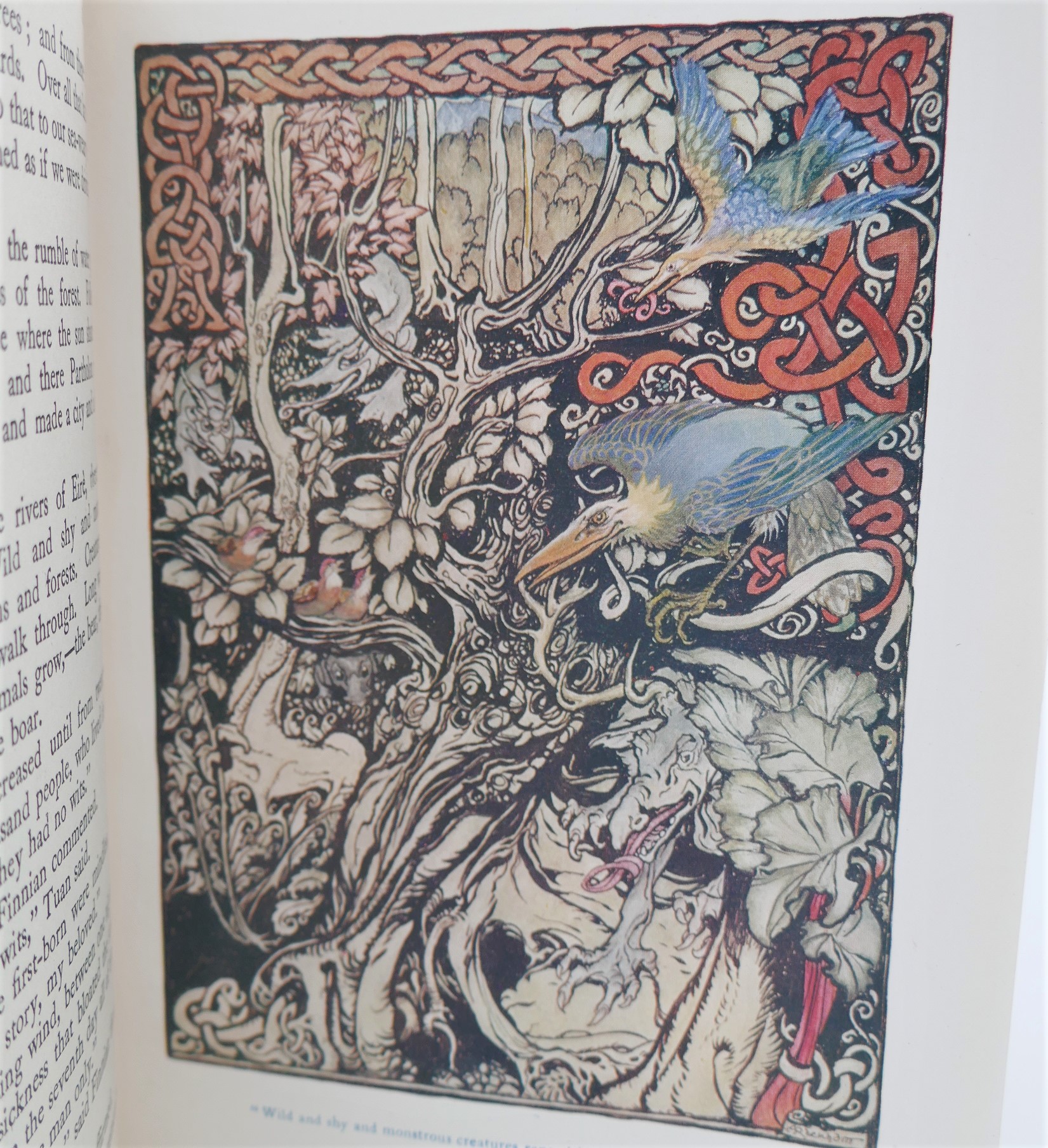 Irish Fairy Tales. Illustrated by Arthur Rackham (1924) - Image 4
