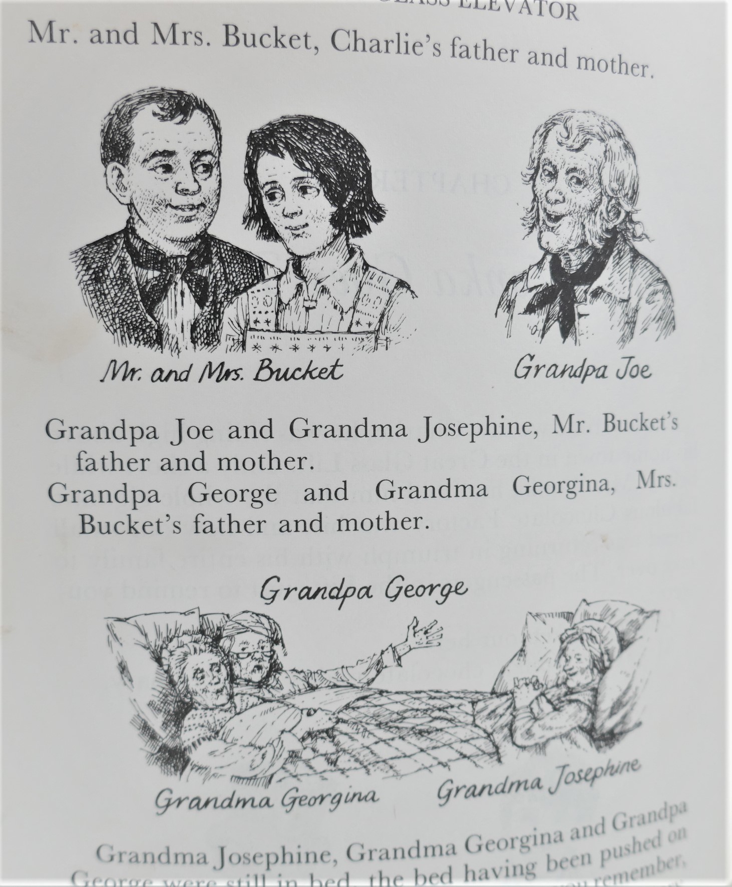 Charlie and The Great Glass Elevator. First Edition (1973) - Image 4