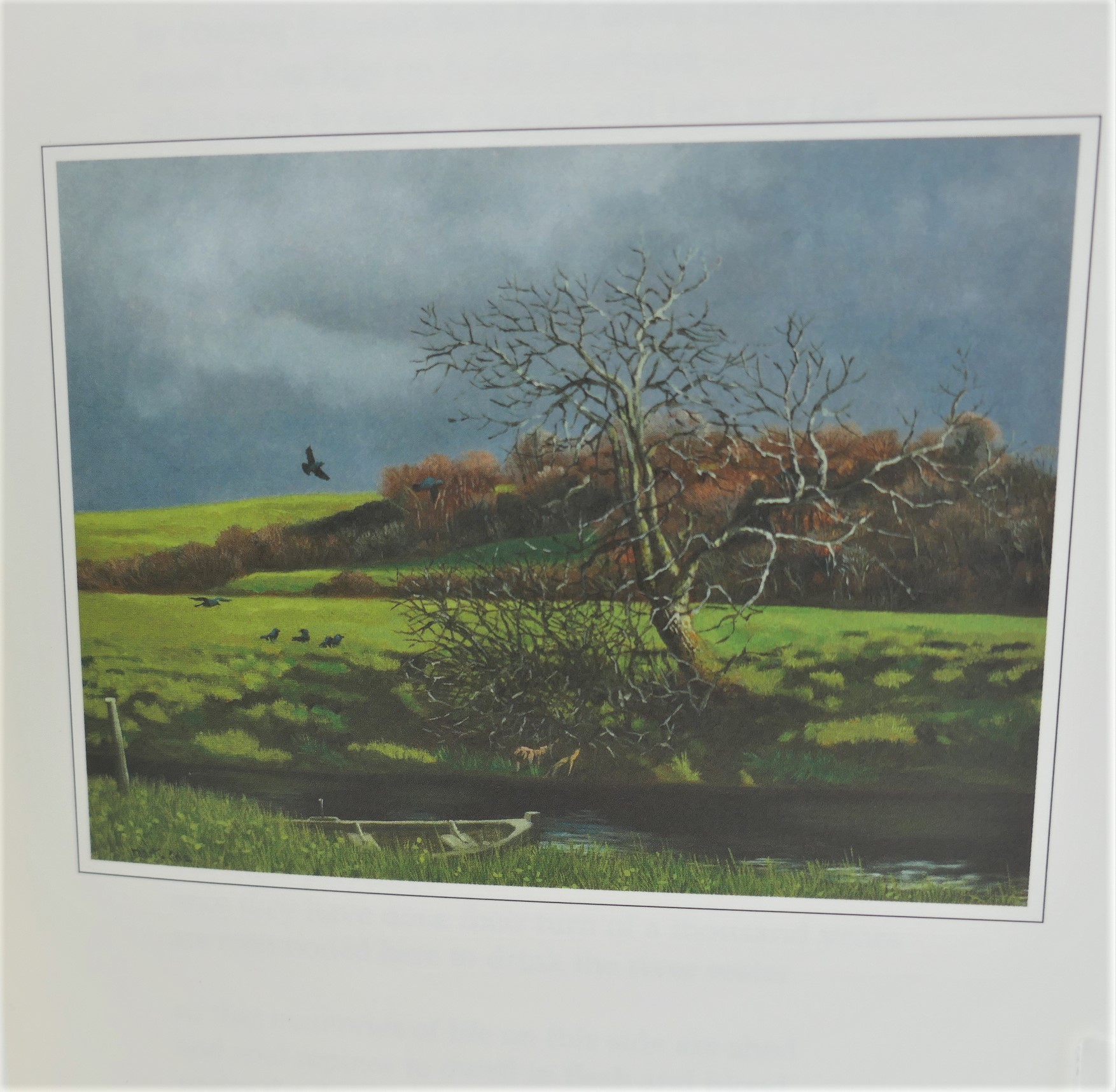 The Riverbank Field. Limited Signed Edition (2007) - Image 4