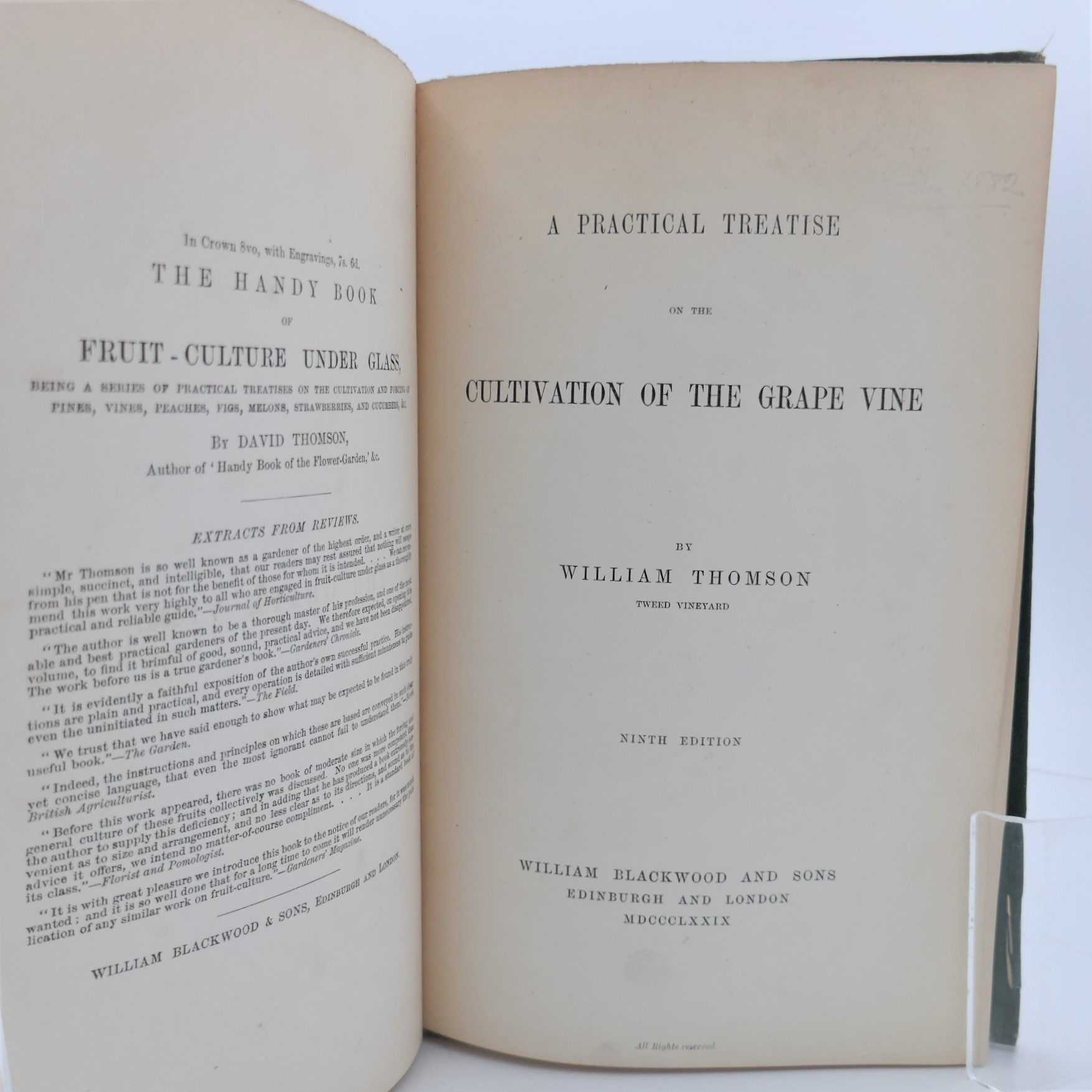Practical Treatise on The Grape Vine (1879) - Image 2