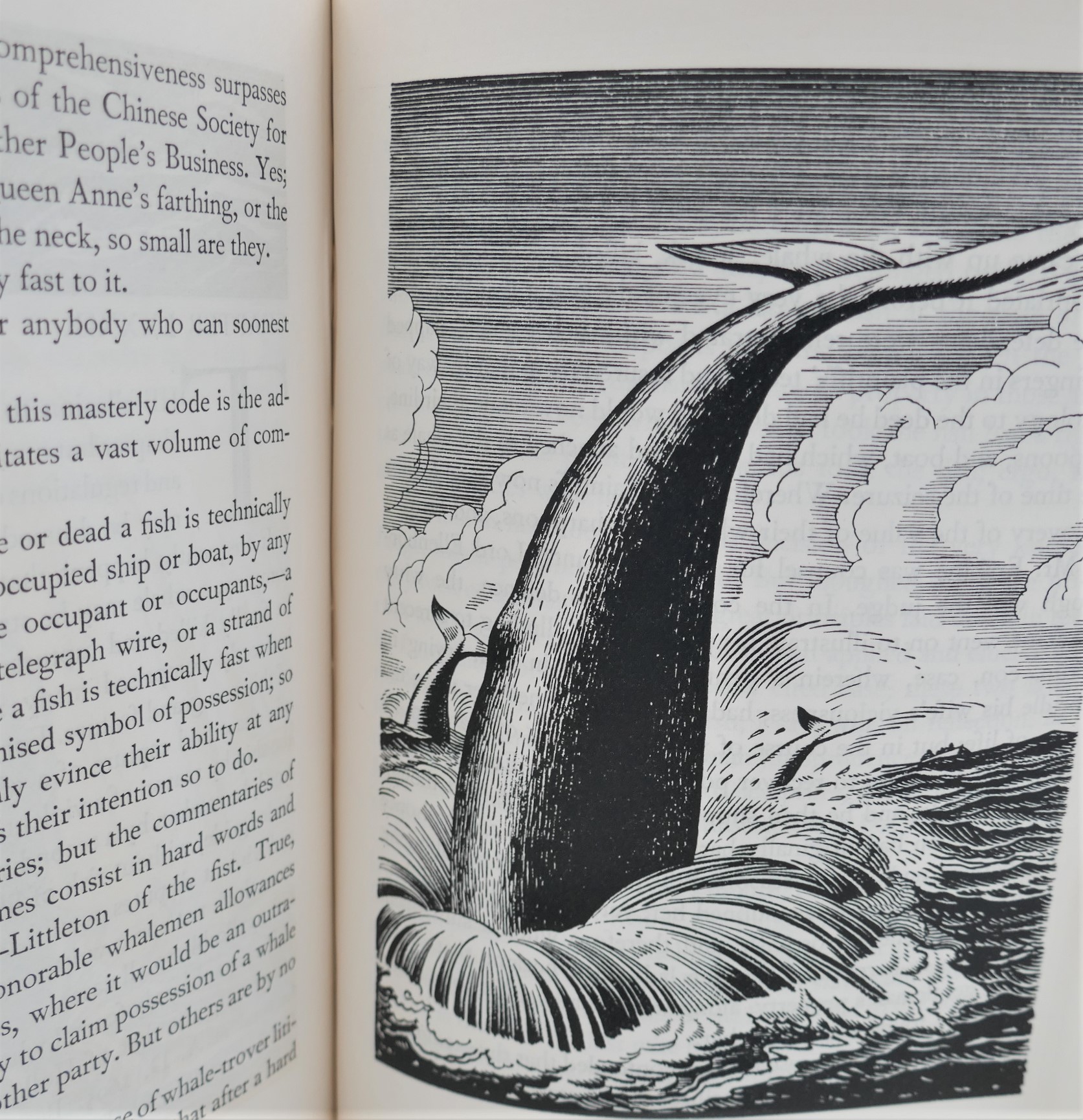 Moby Dick Or The Whale. Illustrated by Rockwell Kent (1930) - Image 5