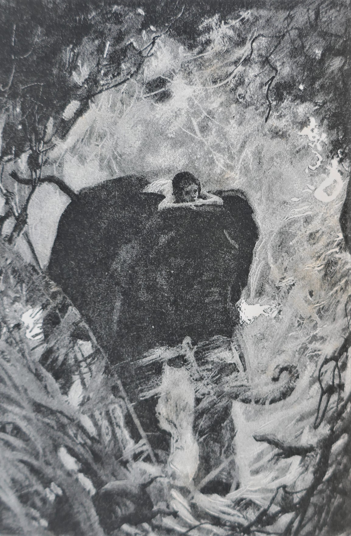 The Jungle Book and The Second Jungle Book (1894-1895) - Image 2