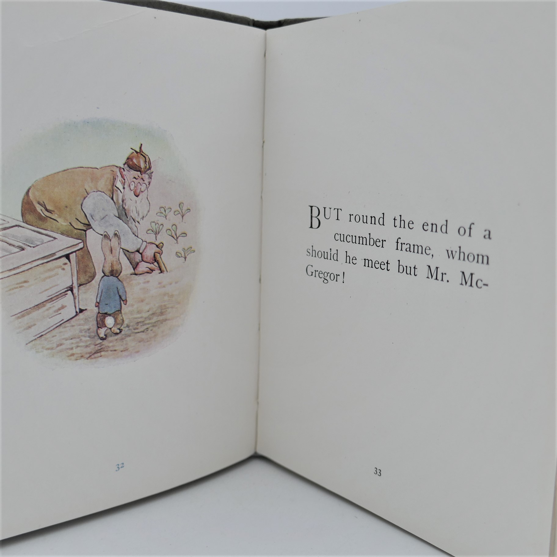 The Tale of Peter Rabbit (1918) - Image 6