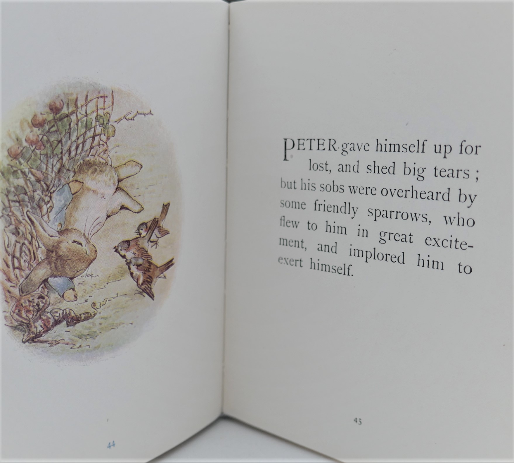 The Tale of Peter Rabbit (1918) - Image 7