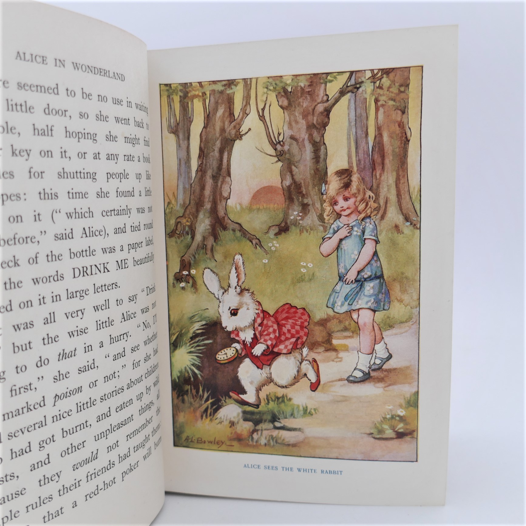 Alice in Wonderland. Illustrated by A.L. Bowley (1930) - Image 4