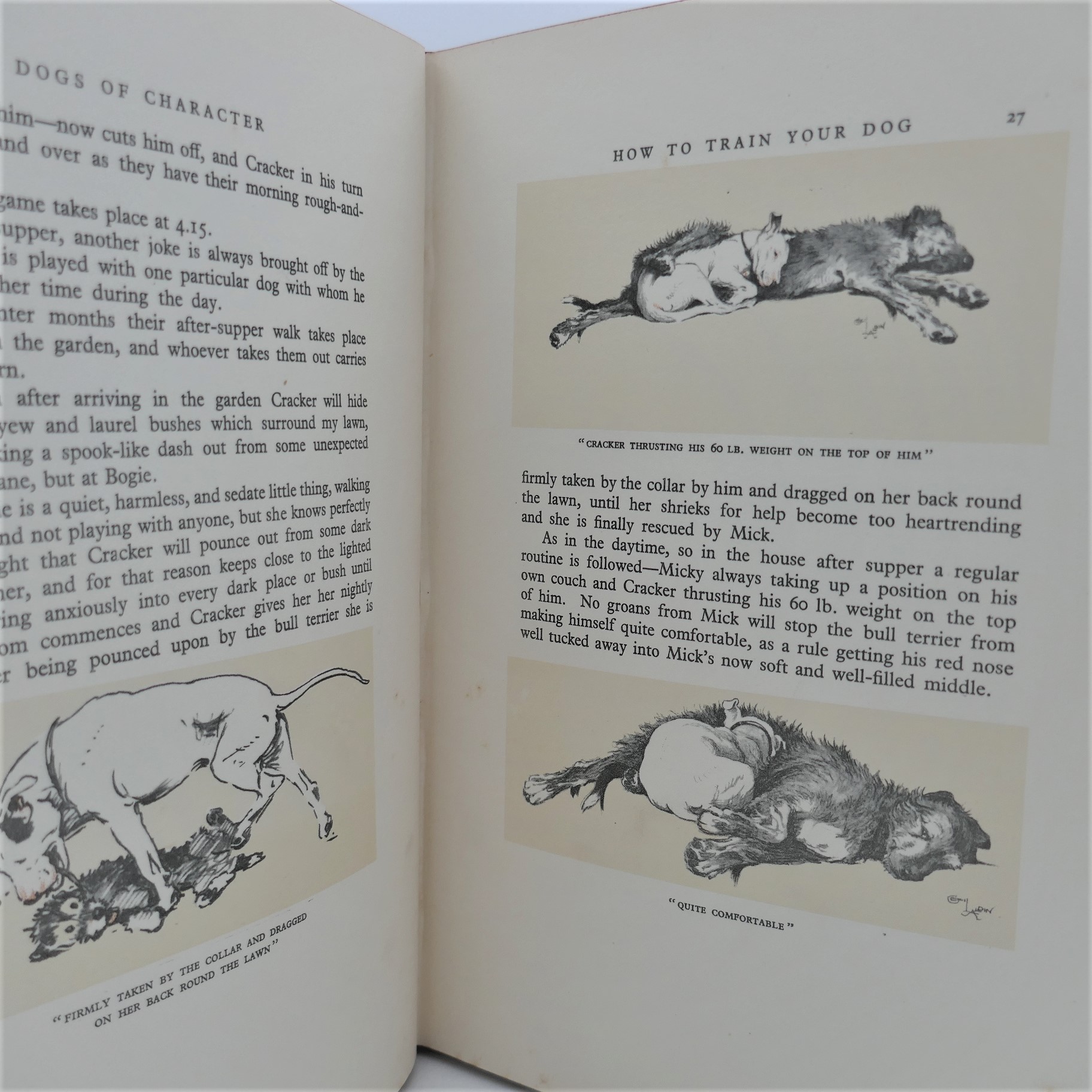 Dogs of Character. Illustrated by the Author (1928) - Image 3