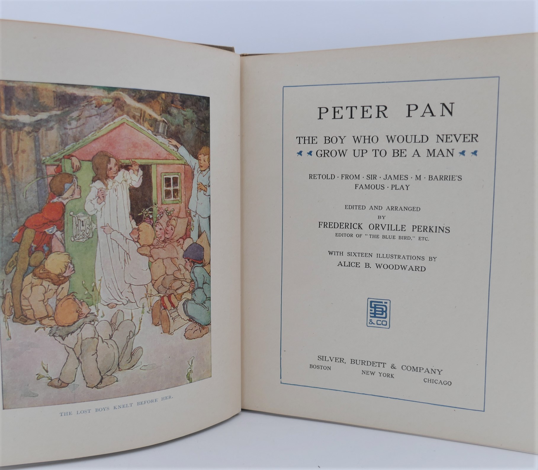 Peter Pan. The Boy who Would Never Grow (1916) - Image 2