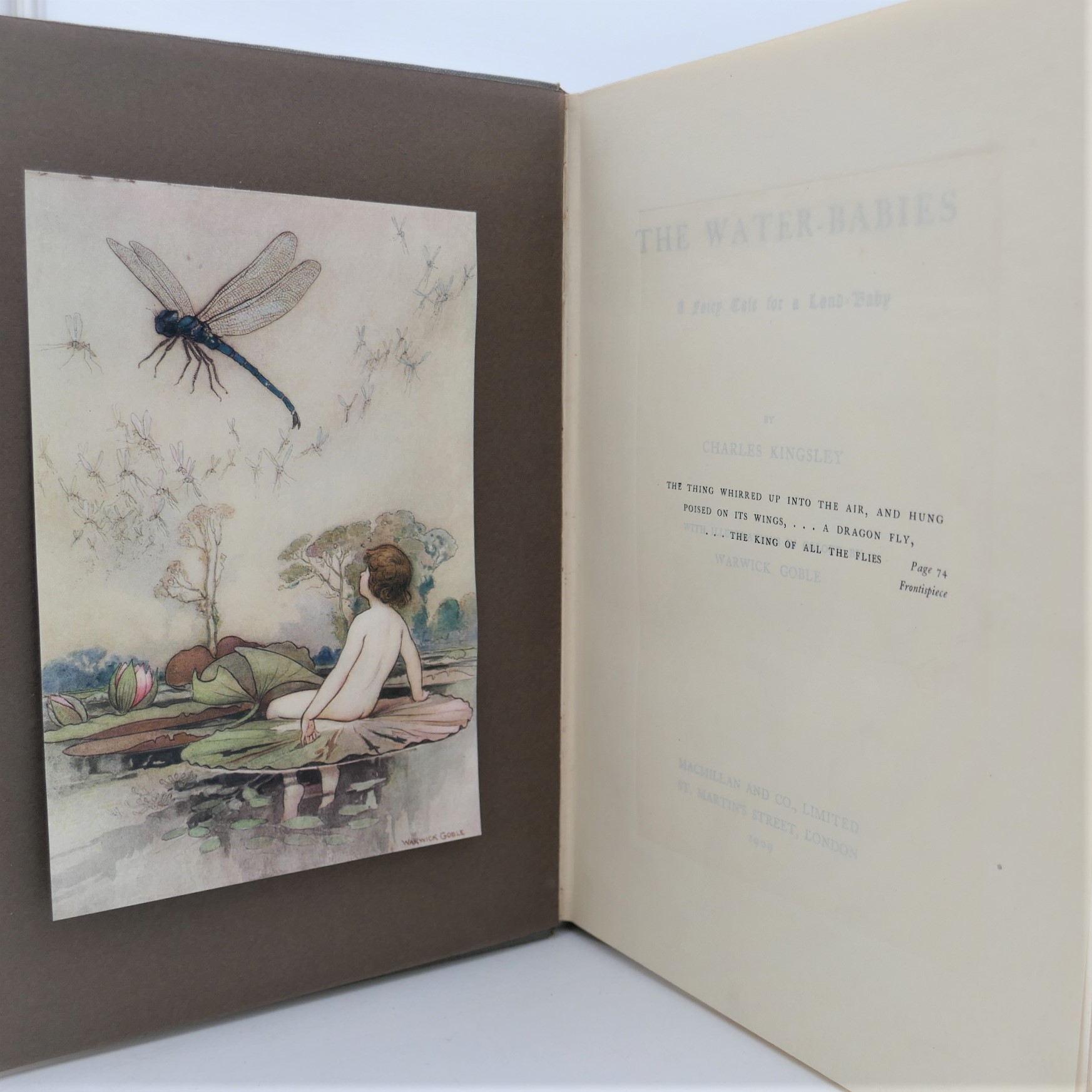 The Water Babies. A Fairy Tale for a Land-Baby (1909) - Image 2