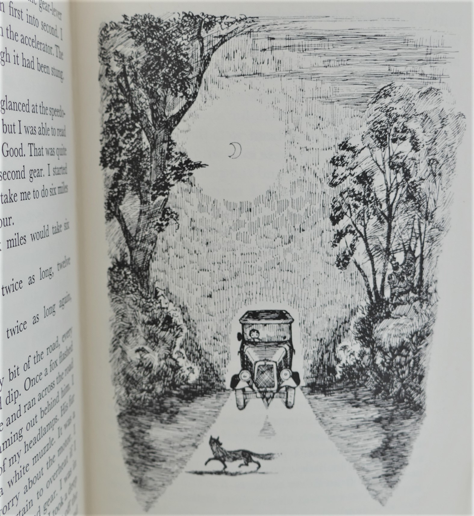Danny. The Champion of the World. Signed by the Author (1975) - Image 6