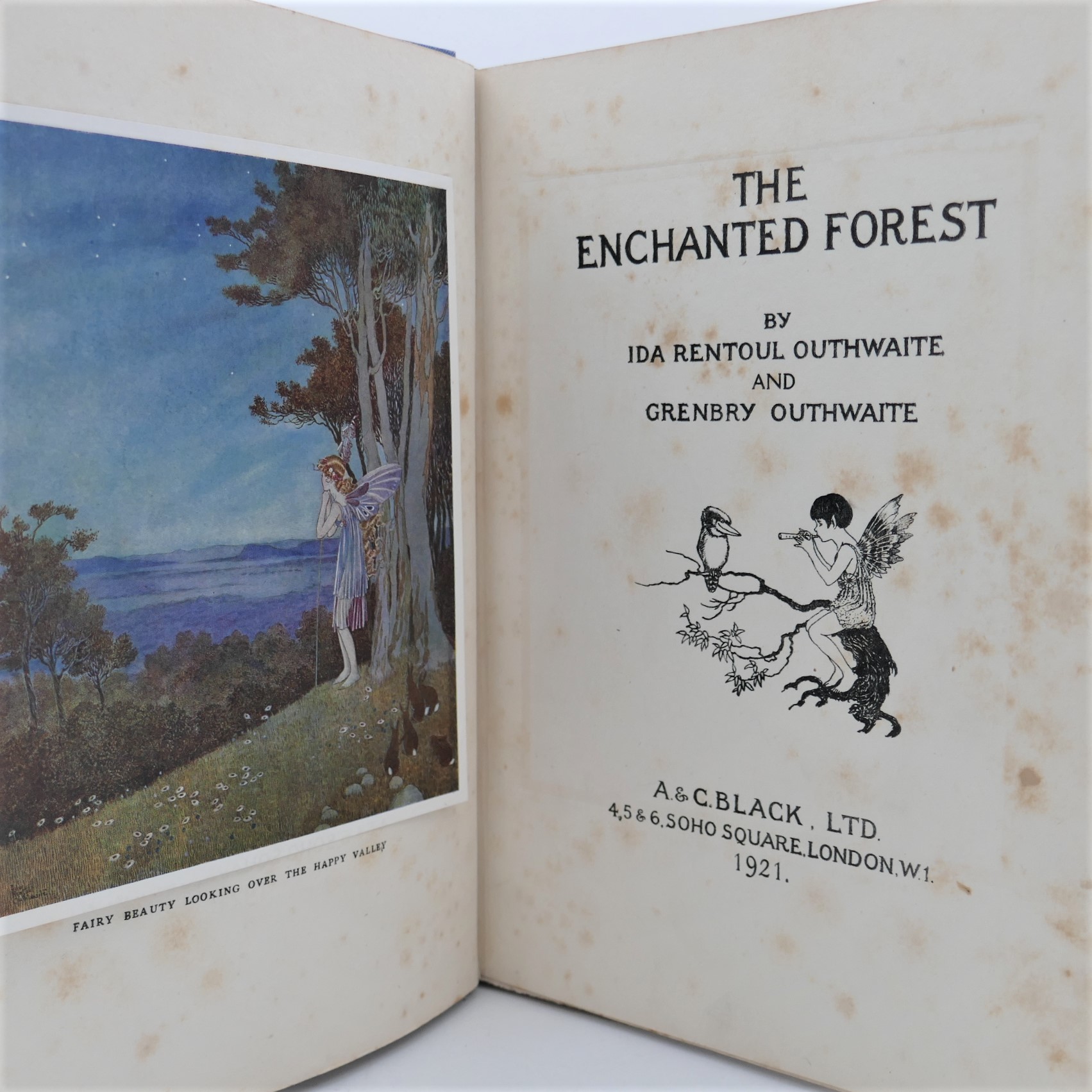 The Enchanted Forest. Illustrated by Ida Rentoul (1921) - Image 2