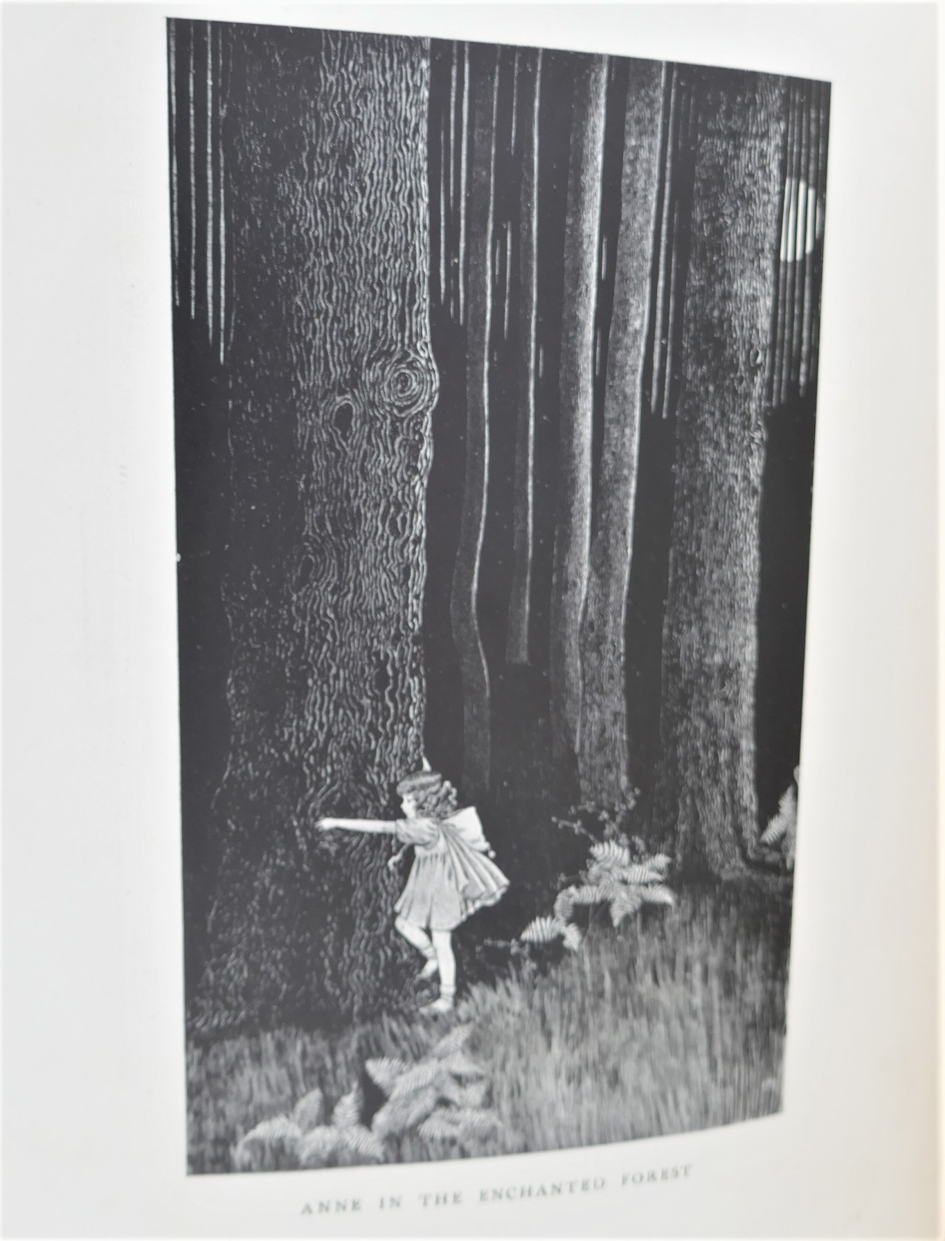 The Enchanted Forest. Illustrated by Ida Rentoul (1921) - Image 3