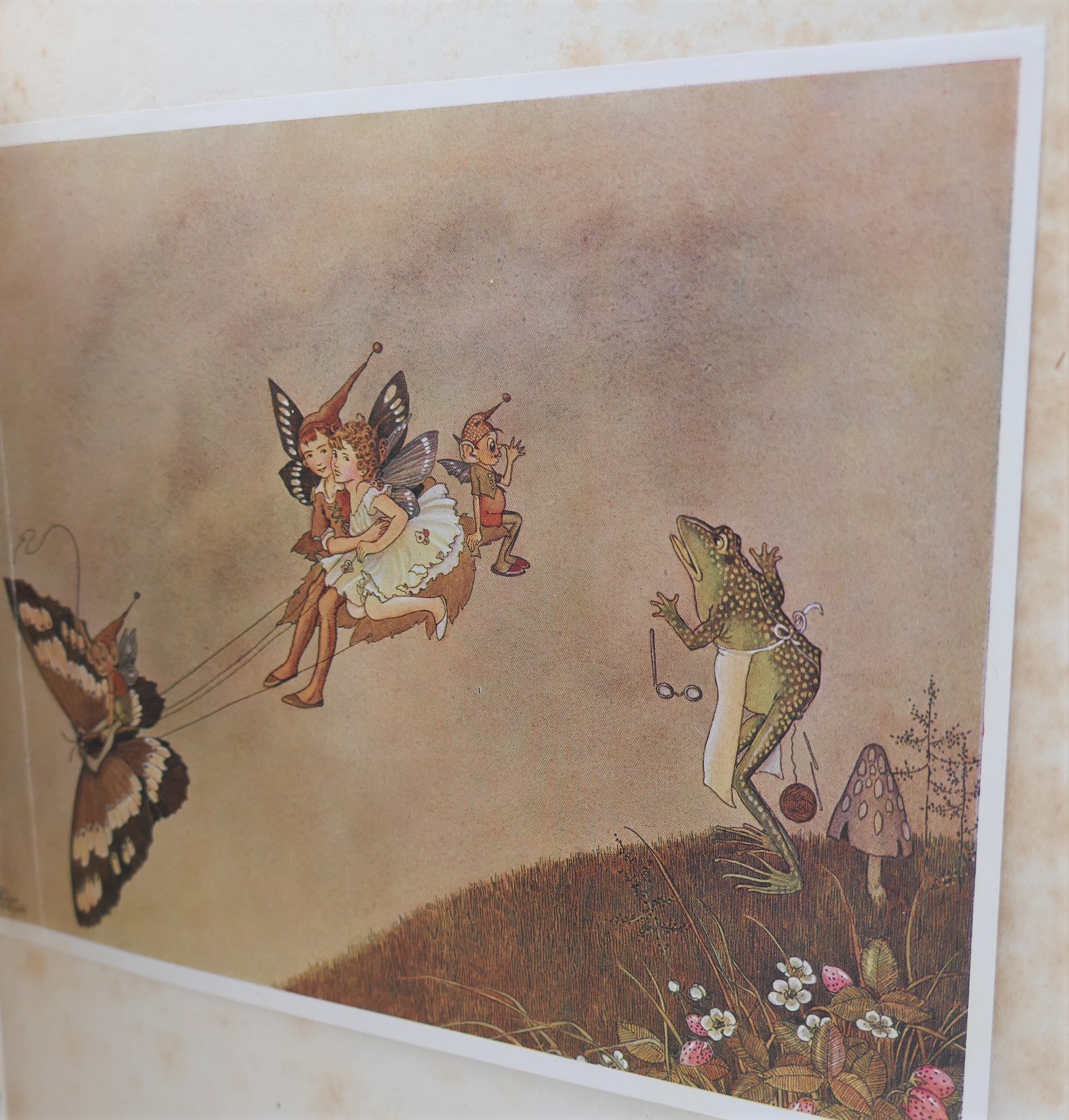 The Enchanted Forest. Illustrated by Ida Rentoul (1921) - Image 5