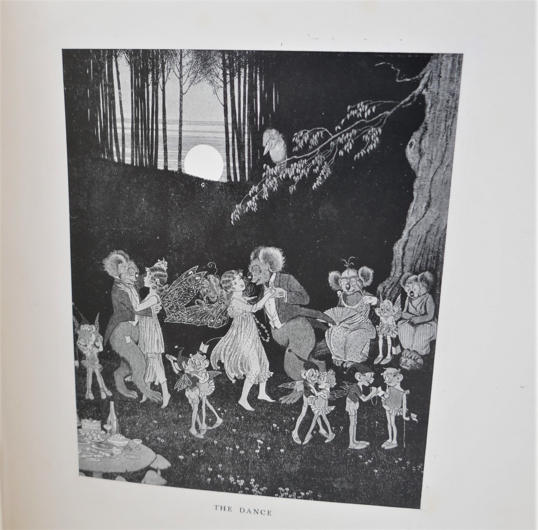 The Enchanted Forest. Illustrated by Ida Rentoul (1921) - Image 6