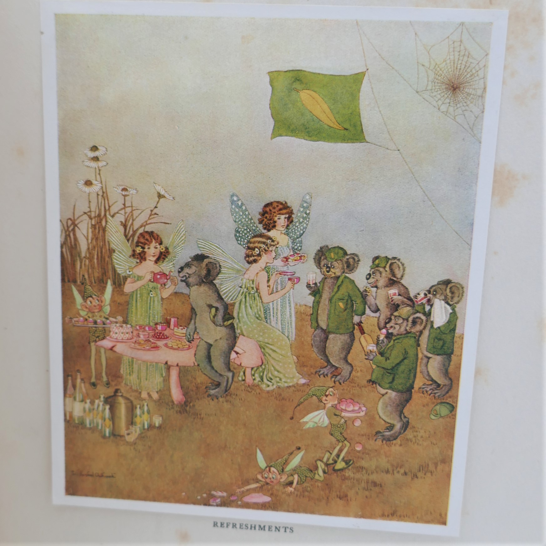 The Enchanted Forest. Illustrated by Ida Rentoul (1921) - Image 7