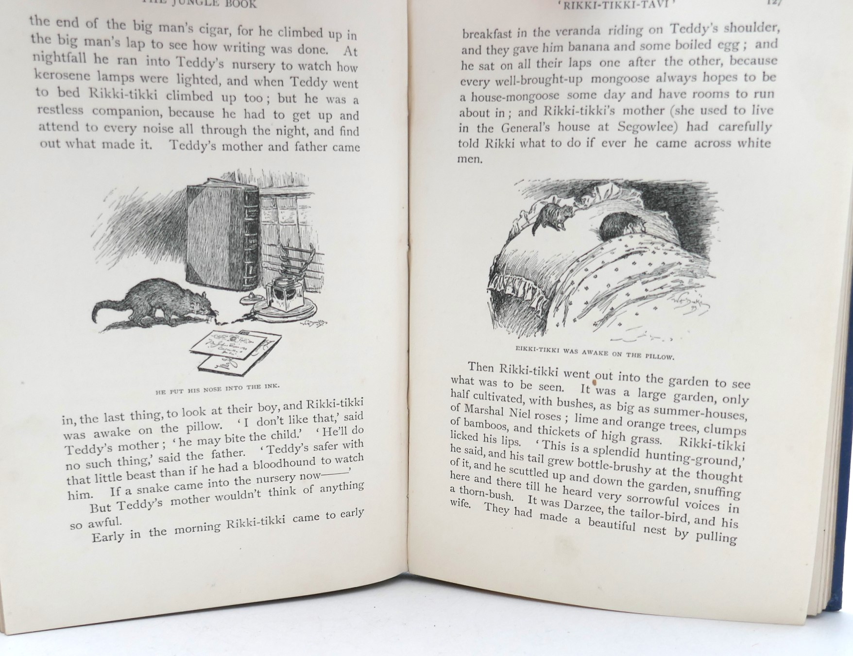 The Jungle Book and The Second Jungle Book (1894-1895) - Image 5