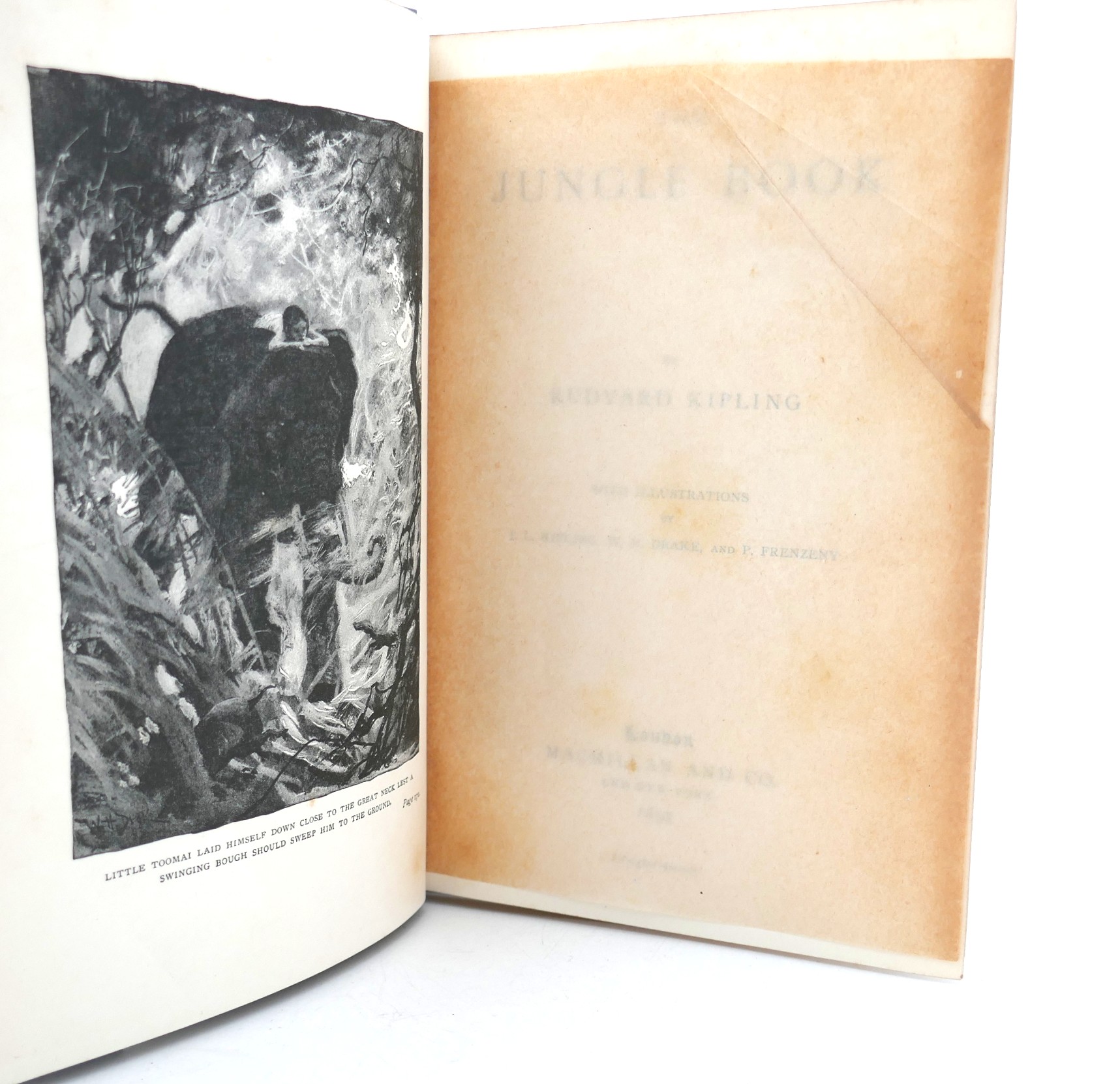 The Jungle Book and The Second Jungle Book (1894-1895) - Image 9