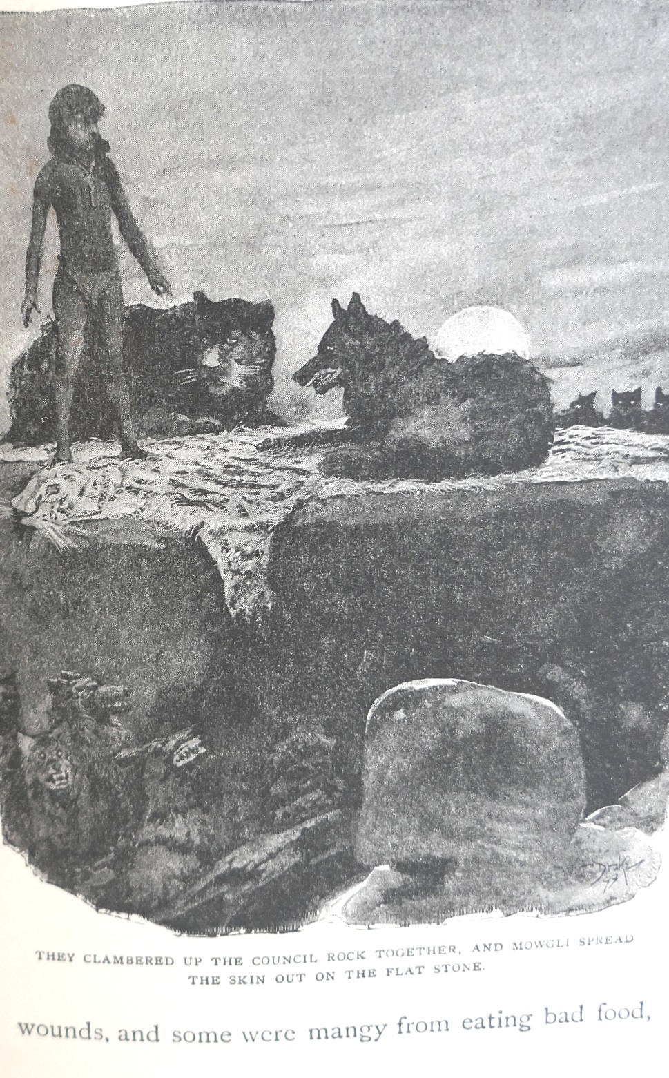 The Jungle Book and The Second Jungle Book (1894-1895) - Image 14