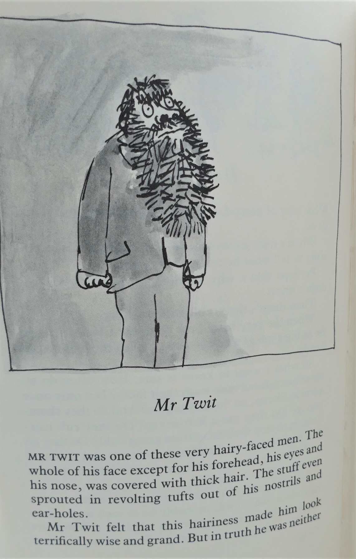 The Twits. Illustrated by Quentin Blake (1980) - Image 5