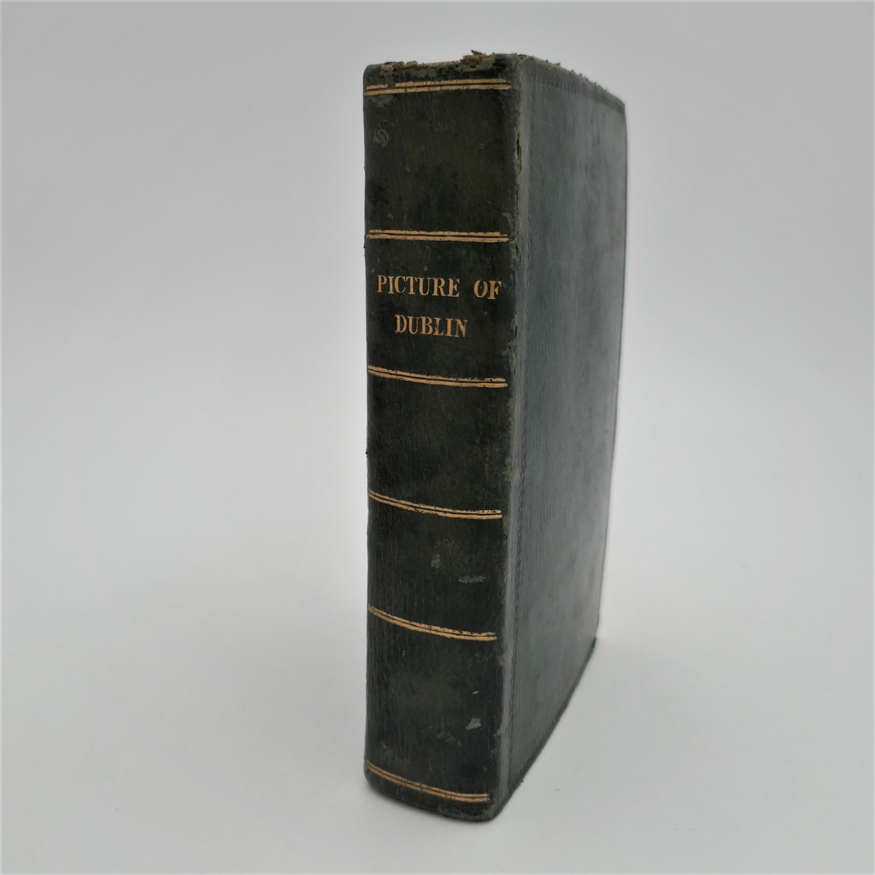 The New Picture of Dublin. Or Stranger's Guide to the Irish Metropolis (1831)
