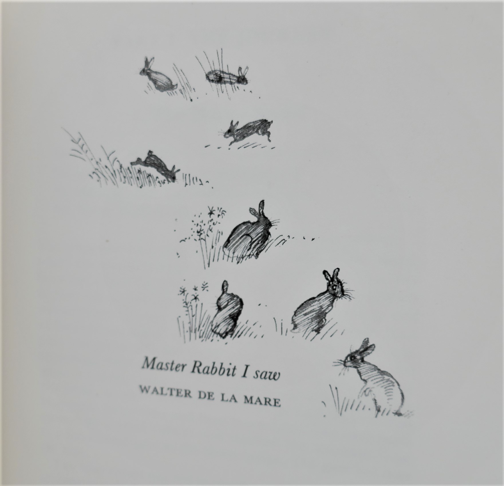 Watership Down. Illustrated Edition. Signed Copy (1976) - Image 4