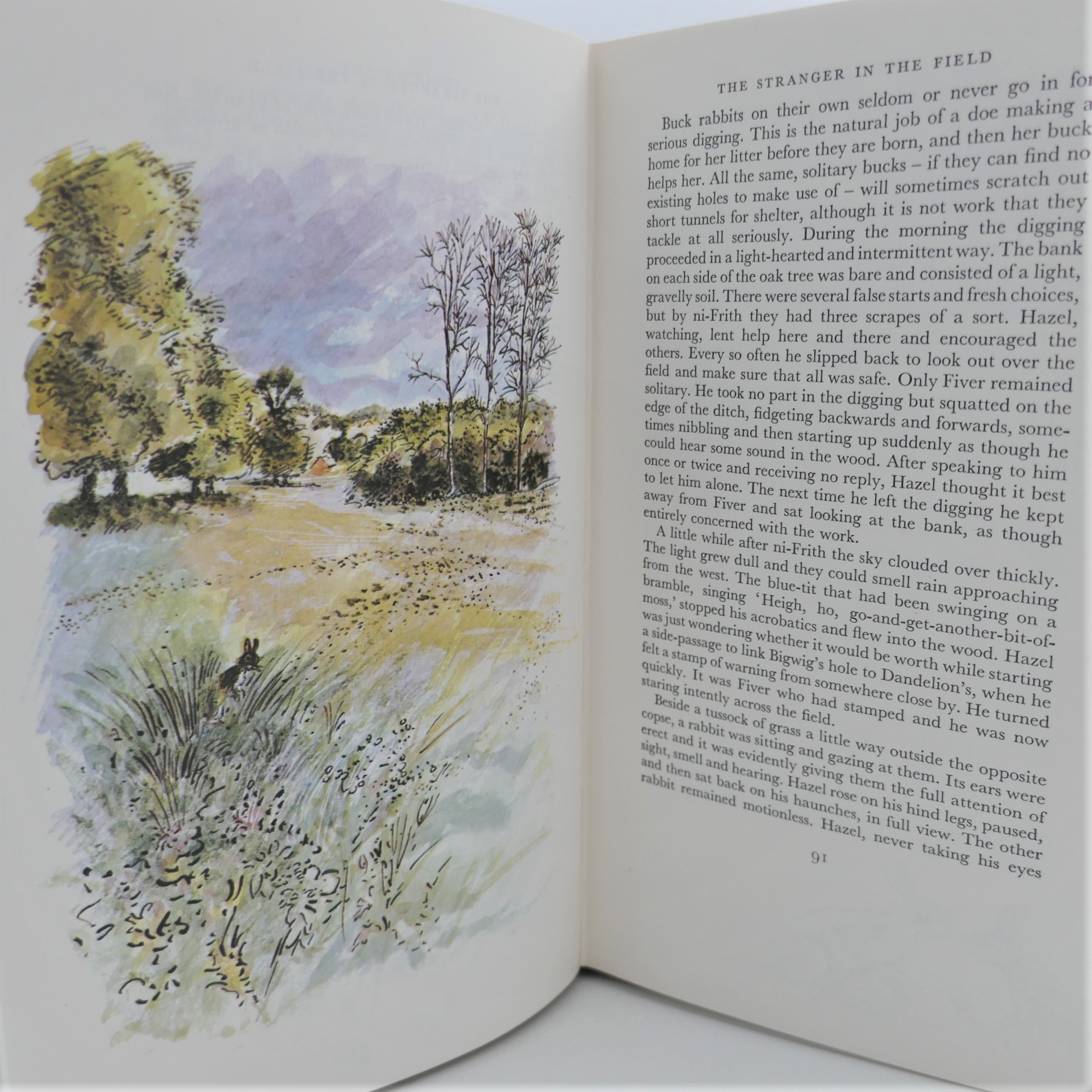 Watership Down. Illustrated Edition. Signed Copy (1976) - Image 5