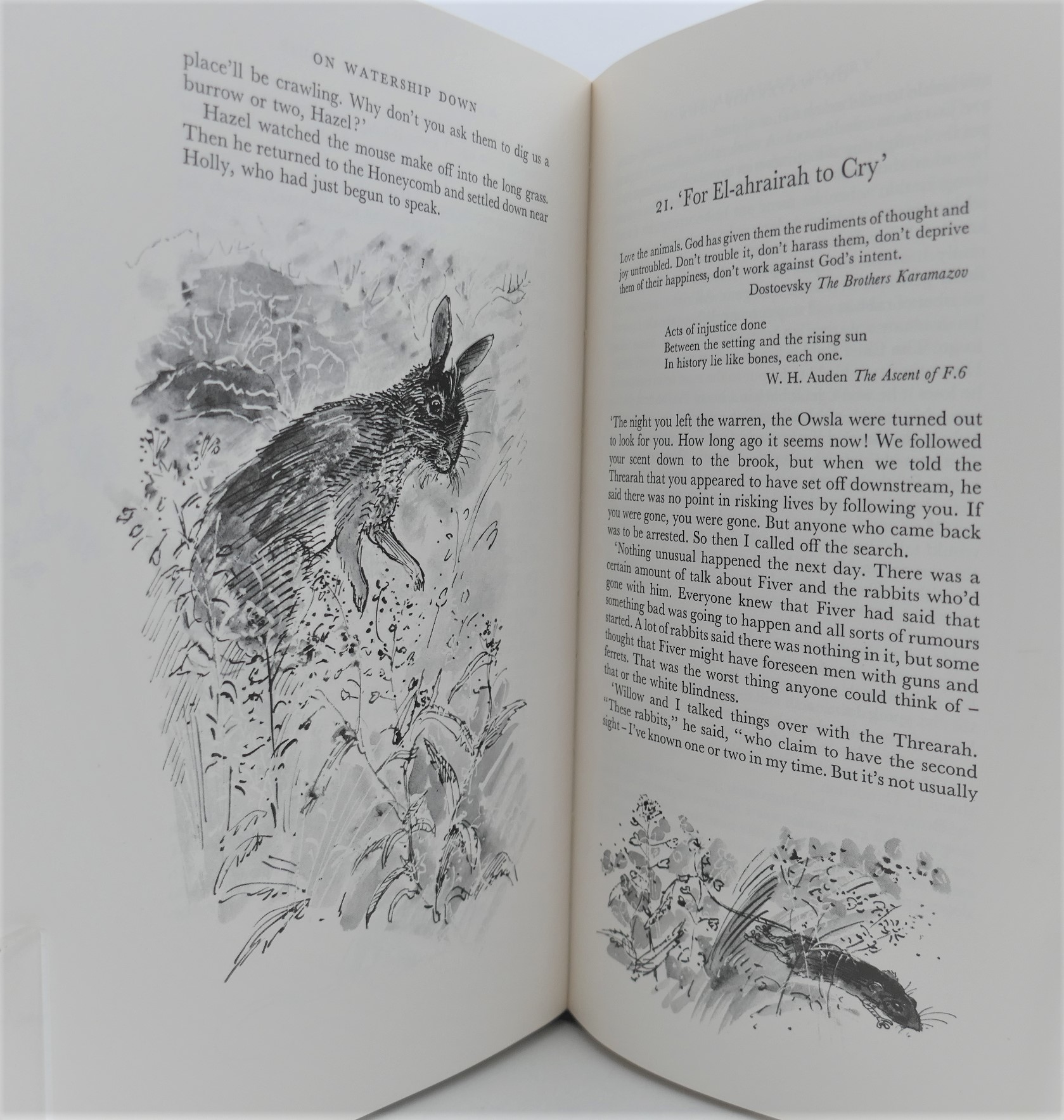 Watership Down. Illustrated Edition. Signed Copy (1976) - Image 6