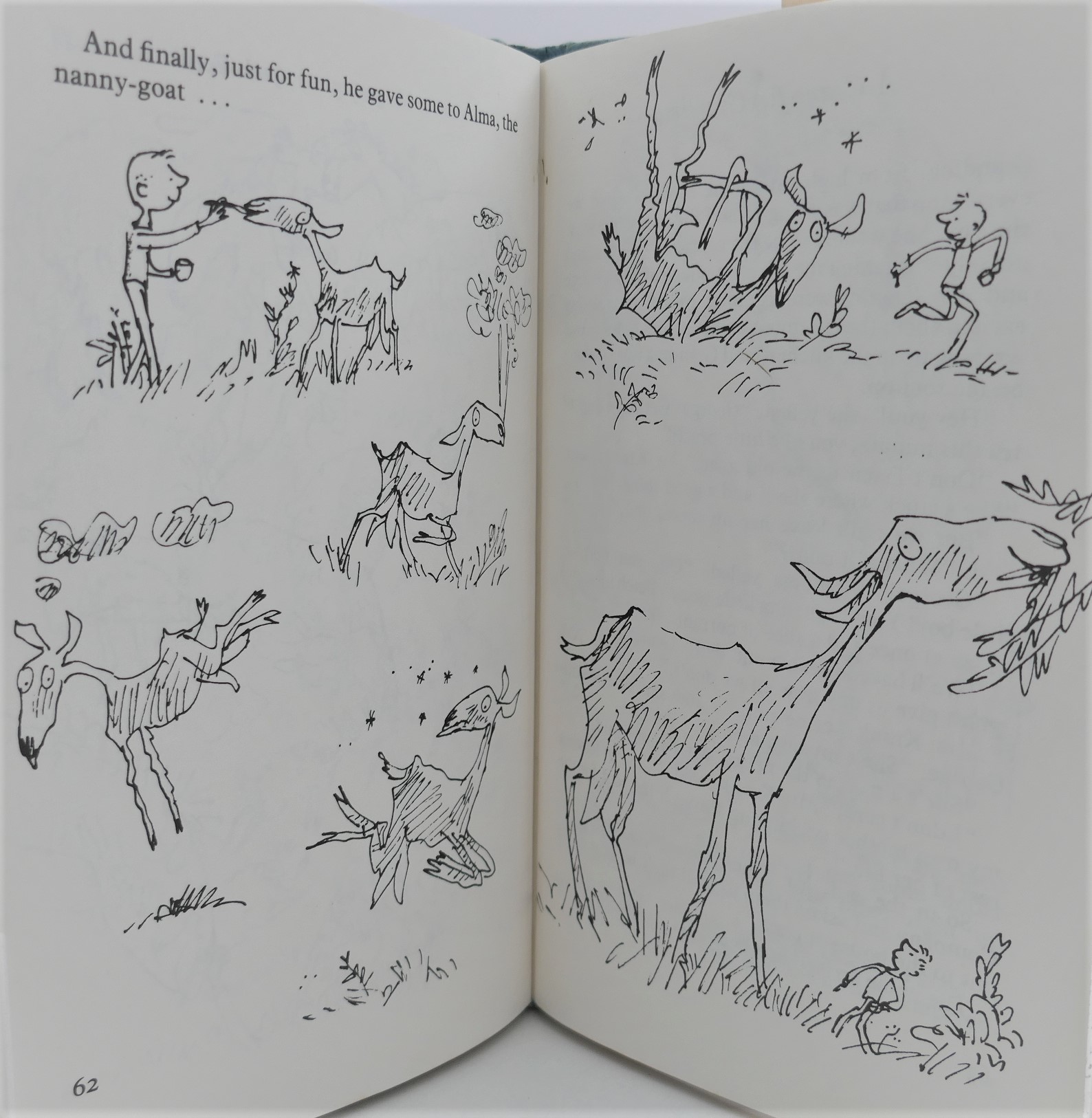 George's Marvellous Medicine. Illustrated by Quentin Blake (1981) - Image 2