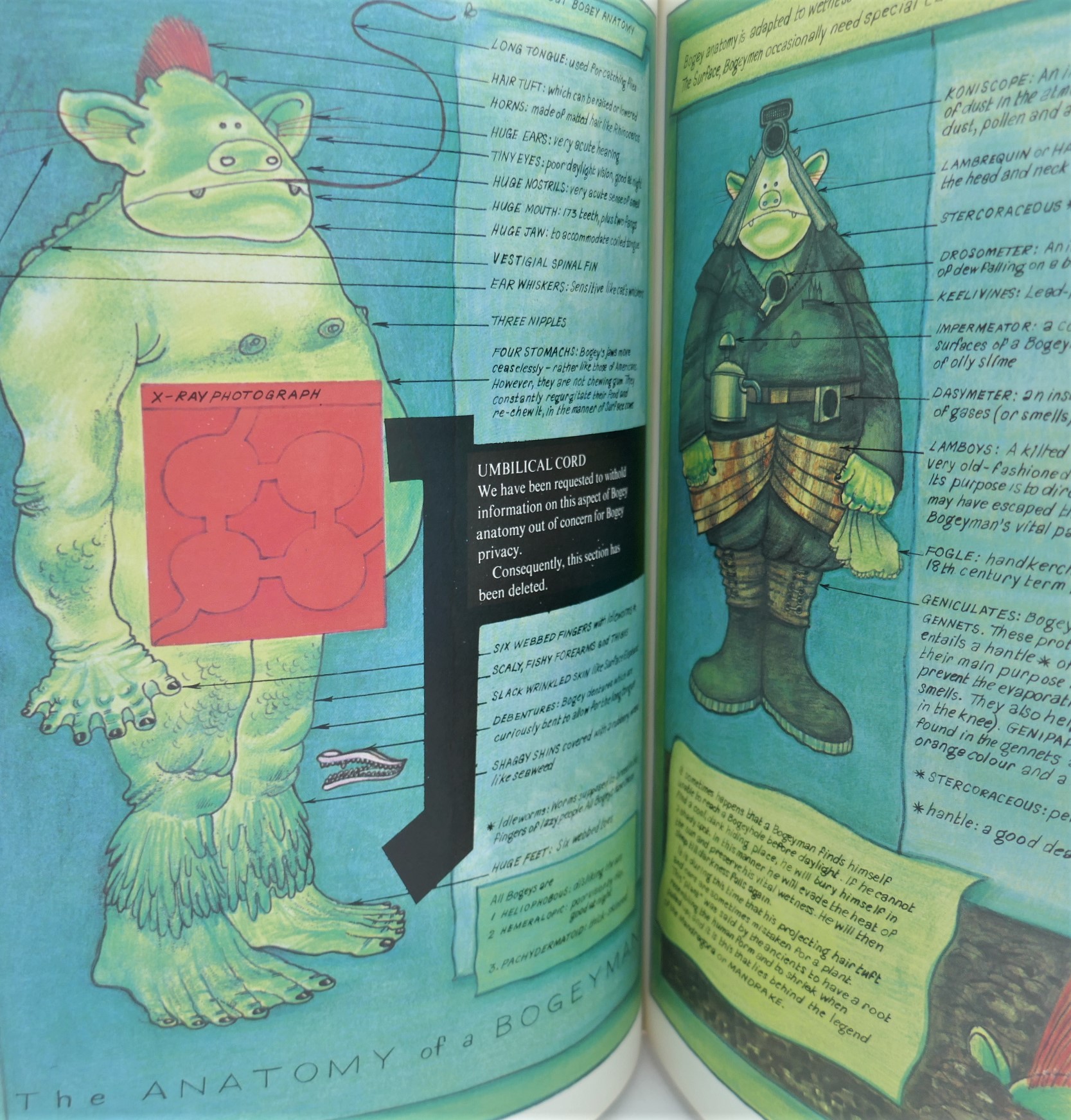 Fungus the Bogeyman. First Edition (1977) - Image 3