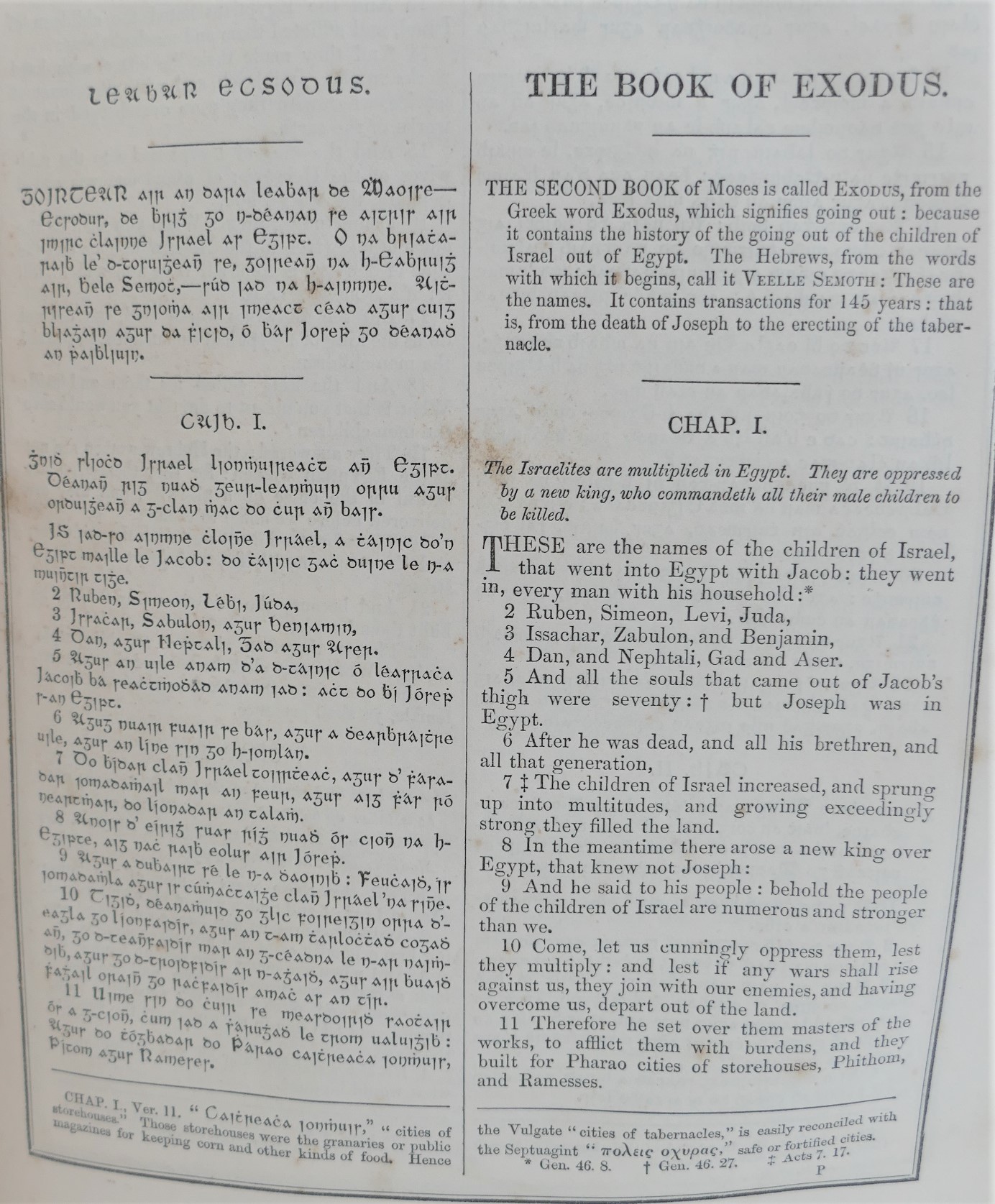 An Irish Translation of the Holy Bible from the Latin Vulgate (1861) - Image 5